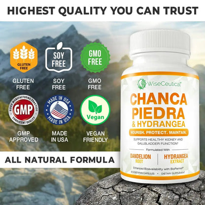 Max Strength Chanca Piedra, Hydrangea & Dandelion Root - Natural Kidney & Gallbladder Formula - Stone Breaker, Flush Impurities, Cleanse Urinary Tract - Enhanced with BioPerine. 60 Veggie Capsules. - dailyvitalstore