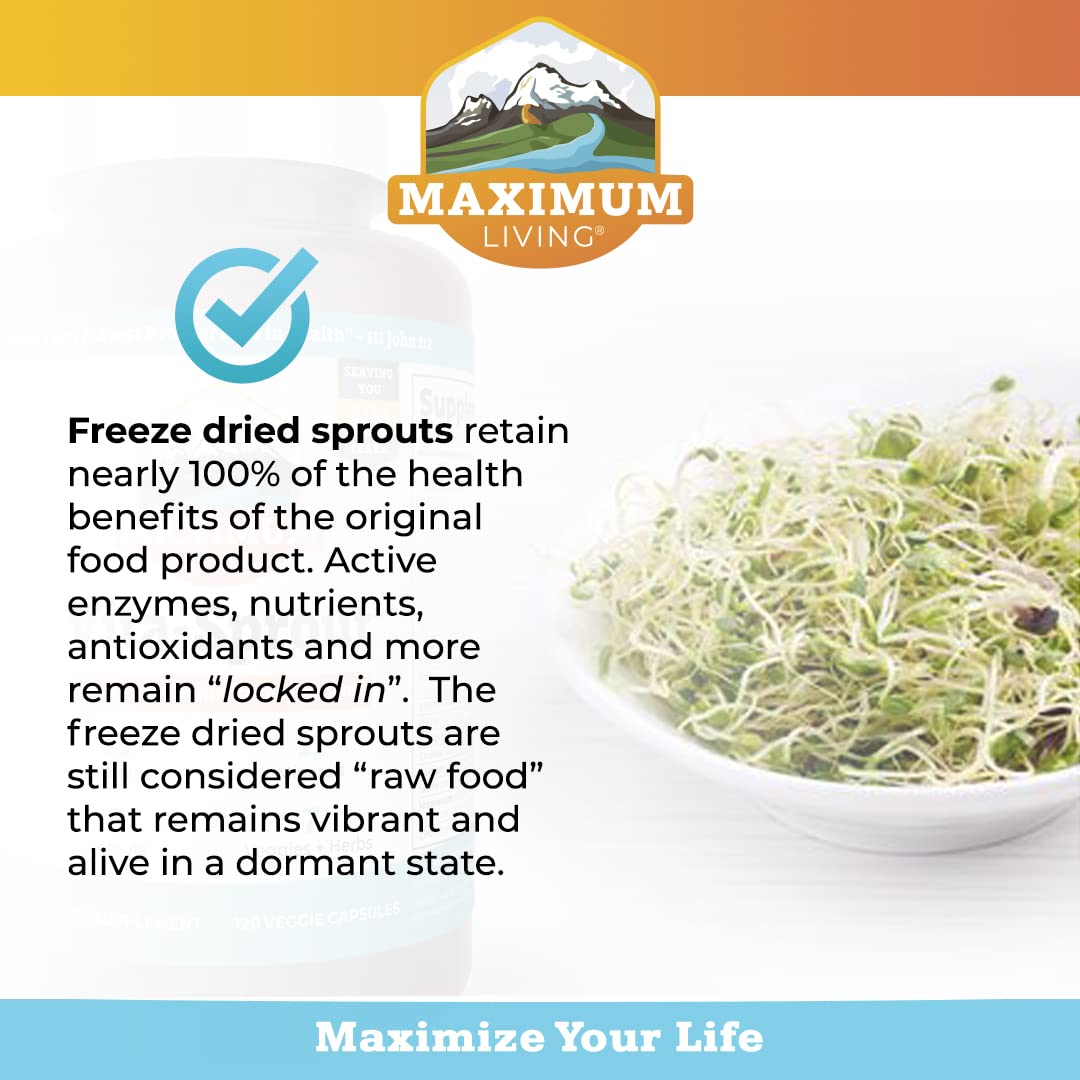 Maximum Living - Vita-Sprout Whole-Food Multivitamin & Phytonutrient Blend - 120 Capsules - dailyvitalstore