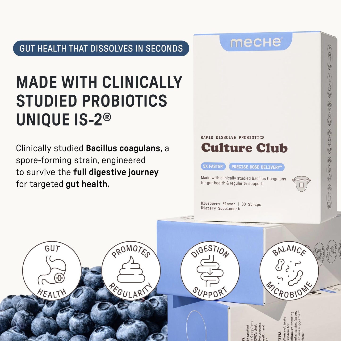 Meche Culture Club Probiotics for Digestive Health and Regularity - 5 Billion CFUs, Probiotics for Women and Men - Gut Health Supplements - Dissolve Strips - dailyvitalstore