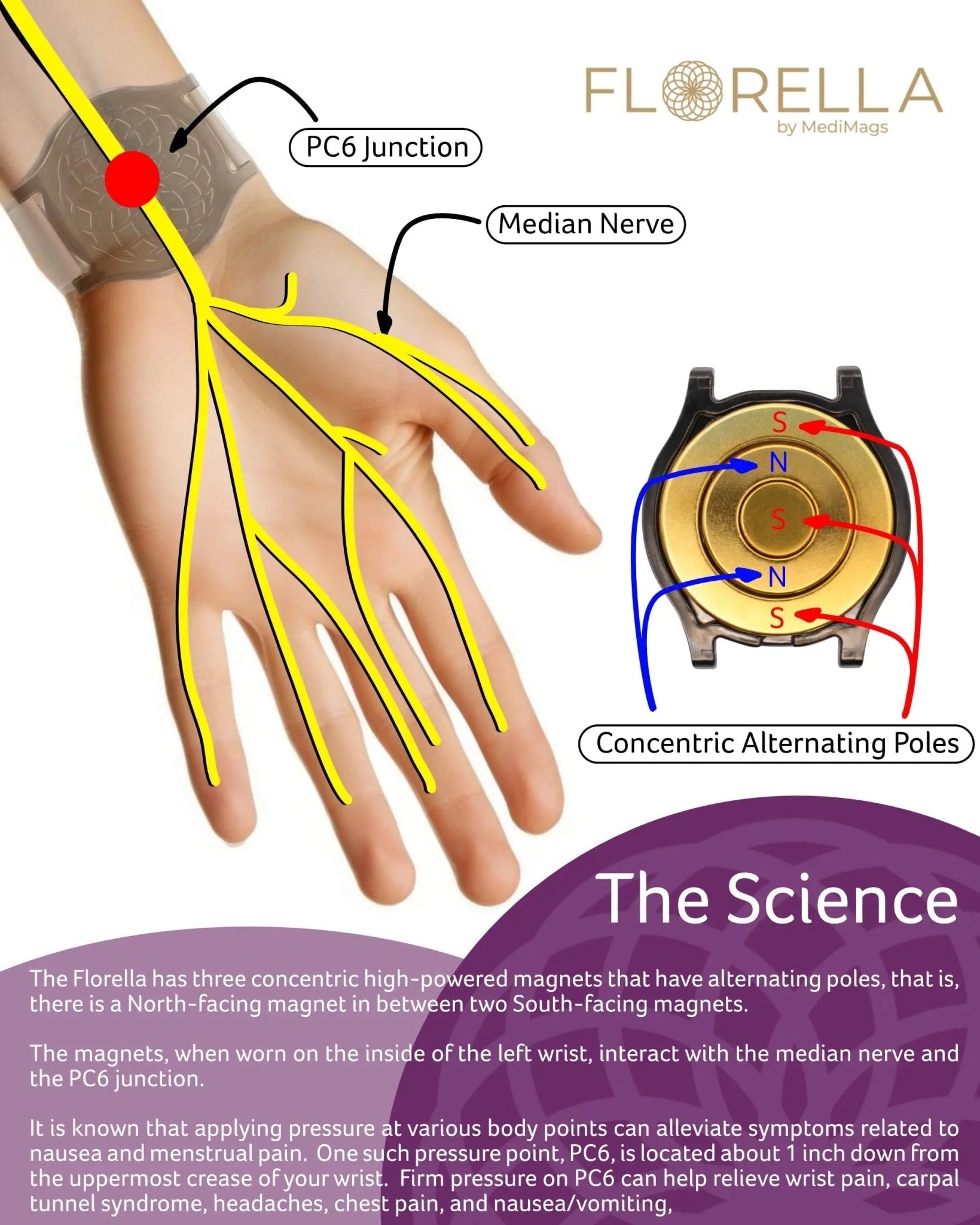 MediMags Period Pain Relief Device - Clinically Proven, All Natural Relief for A Life On The Go - The Florella Therapeutic Device Helps Alleviate The Pain from Menstrual Cramps. - dailyvitalstore