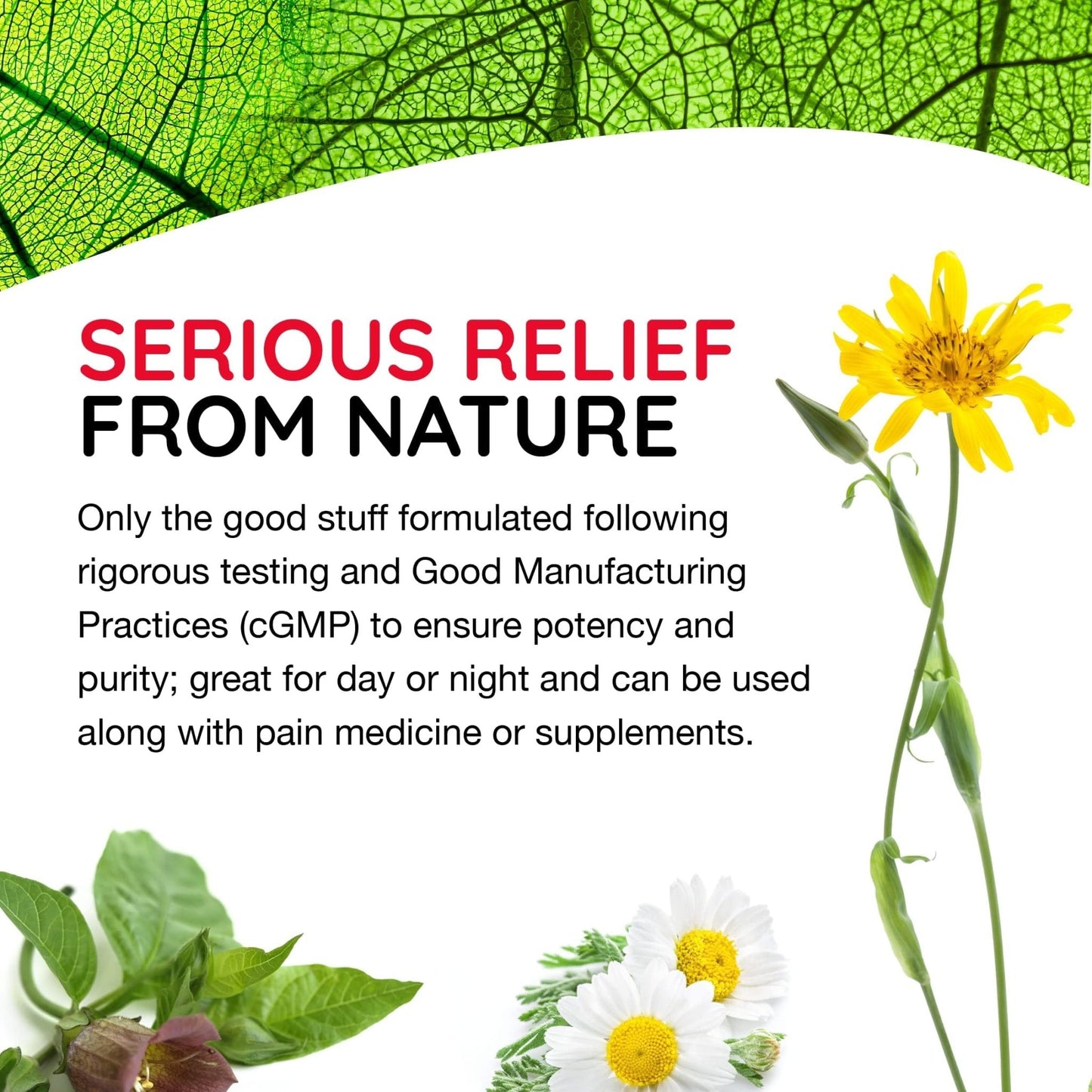 MediNatura T-Relief Arnica +12 Natural Actives - Whole Body Fast-Acting Formula for Women & Men - 100 Tablets - dailyvitalstore