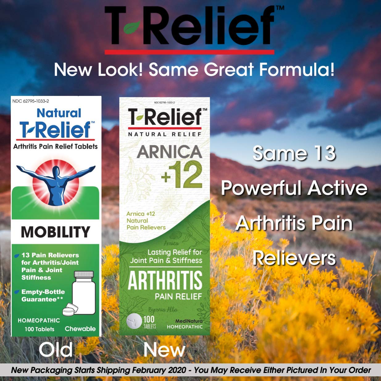 MediNatura T-Relief Extra Strength Arthritis Pain Reliever Arnica +12 Natural Medicines for Joint Soreness Stiffness Aches, Quick Dissolving Pain Relief for Women & Men - 100 Tablets (Pack of 3) - dailyvitalstore