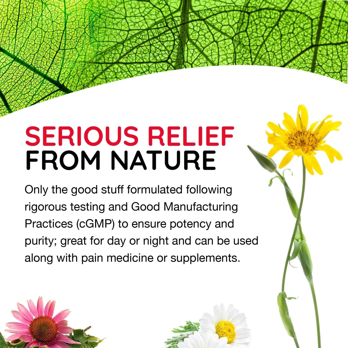 MediNatura T-Relief Extra Strength Gel Arnica +12 Natural Relieving Actives for Back Pain Joint Soreness Muscle Aches & Stiffness Whole Body Fast Acting Relief for Women & Men - 3 oz - dailyvitalstore