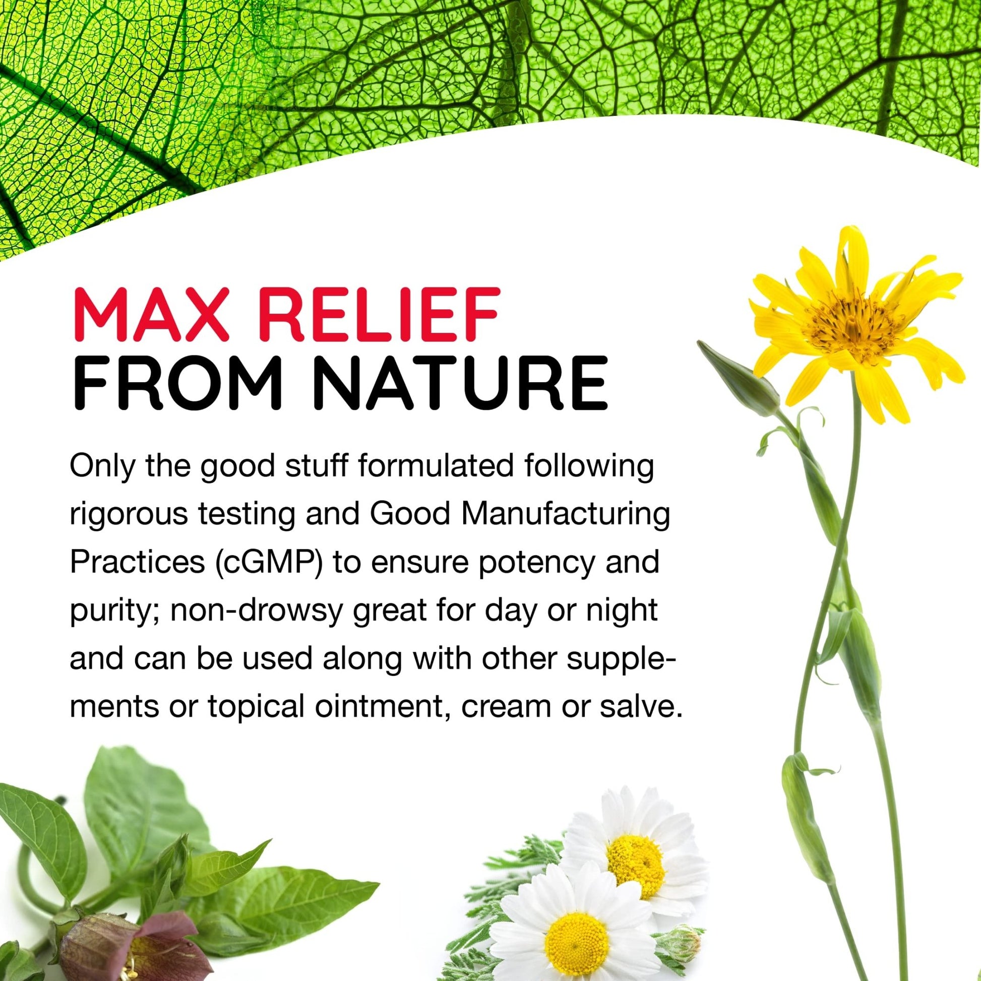 MediNatura T-Relief Extra Strength Oral Drops Arnica +12 Fast-Acting Natural Relieving Actives for Back Neck Joint Muscle Hand & Foot Aches Pains & Soreness - 1.69 oz - dailyvitalstore