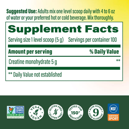 MegaFood Micronized Creatine Monohydrate Powder - Unflavored Post & Pre Workout Powder for Men & Women - Cognitive & Exercise Performance Support - dailyvitalstore