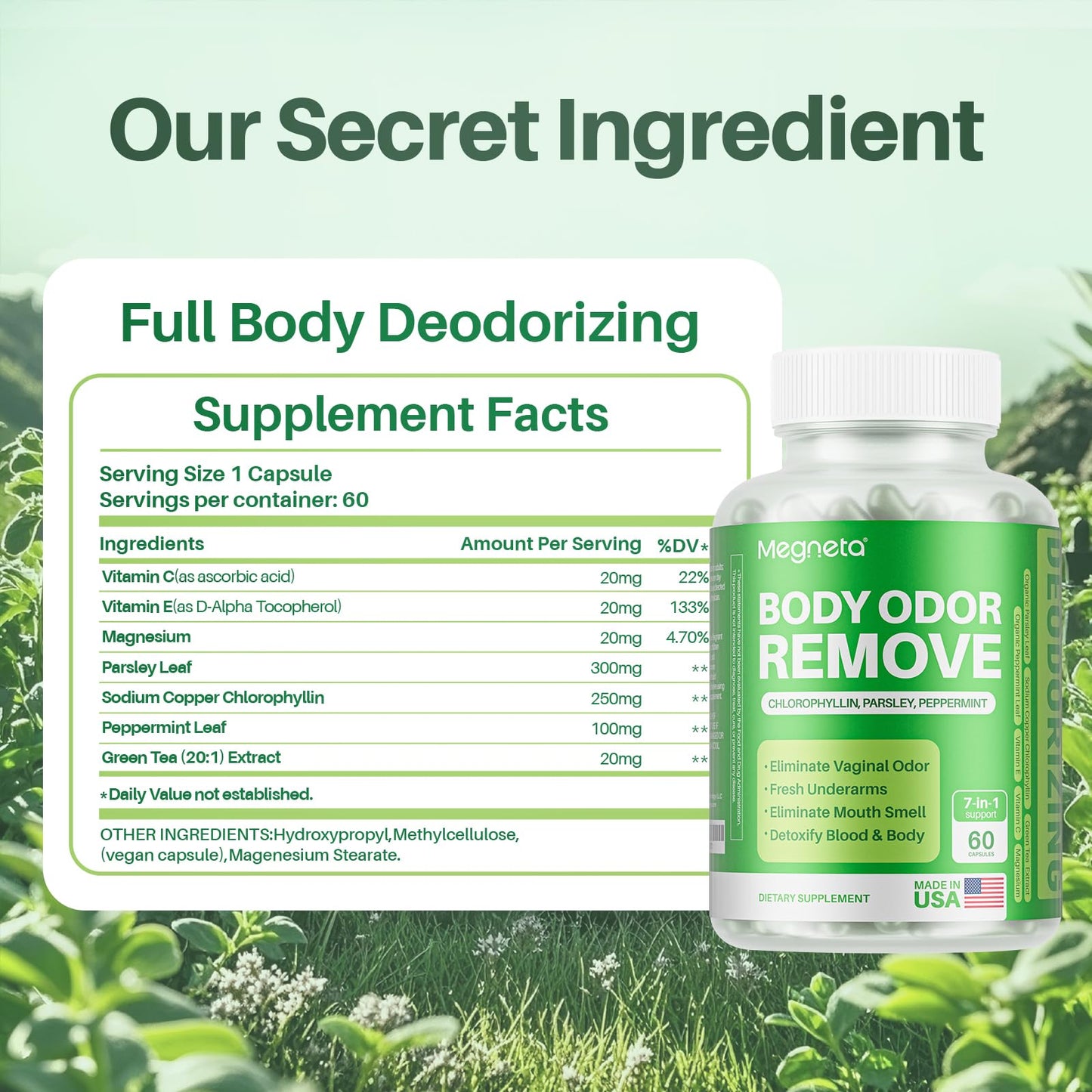 MEGNETA Body Deodorizing Supplement, Natural Internal Odor Control Pills for Men & Women, Chlorophyll Capsules for Skin, Breath and Gut Health (60 Capsules) - dailyvitalstore