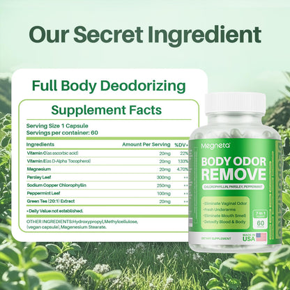 MEGNETA Body Deodorizing Supplement, Natural Internal Odor Control Pills for Men & Women, Chlorophyll Capsules for Skin, Breath and Gut Health (60 Capsules) - dailyvitalstore