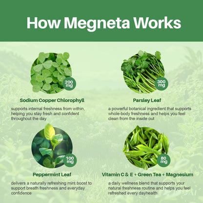 MEGNETA Body Deodorizing Supplement, Natural Internal Odor Control Pills for Men & Women, Chlorophyll Capsules for Skin, Breath and Gut Health (60 Capsules) - dailyvitalstore