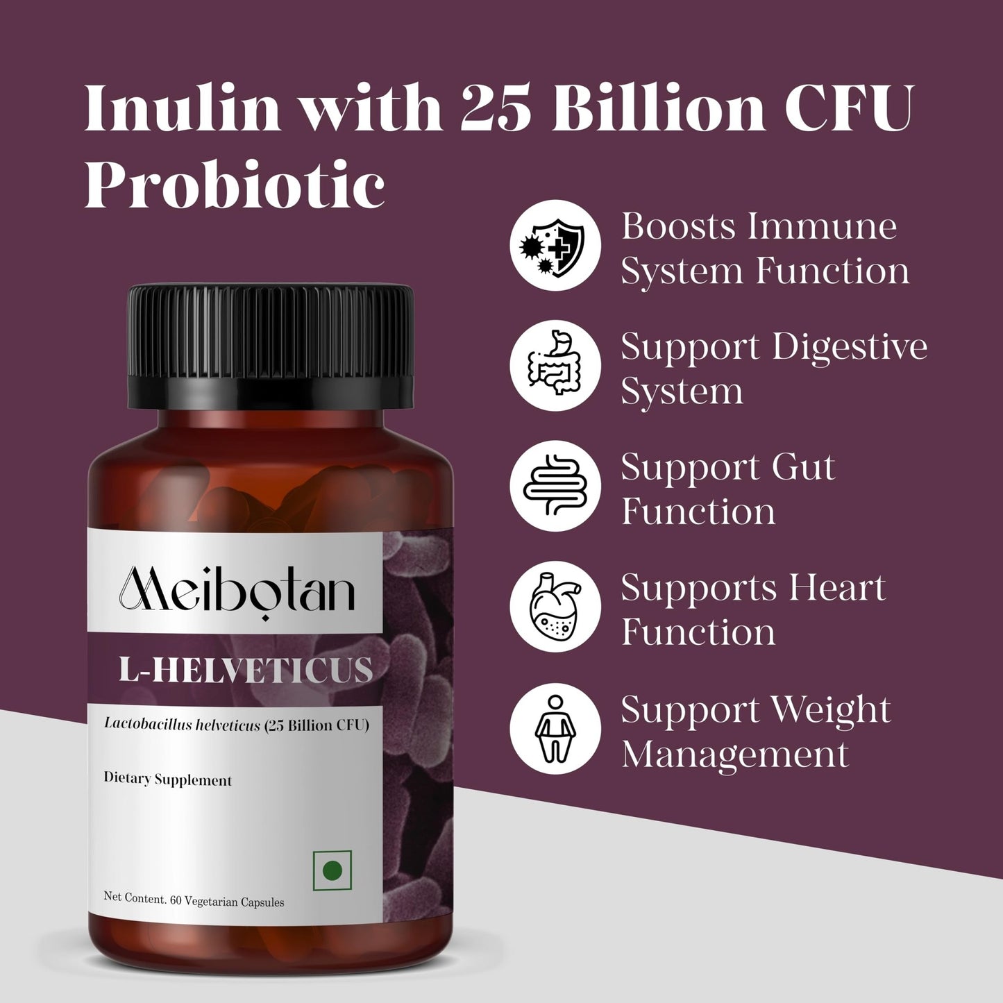 MEIBOTAN L-Helveticus Probiotic Bacteria with 25 Billion CFU for Women & Men, Helps Digestion, Nutrient Absorption and Fight Bad Bacterias - 60 Veggie Capsules - dailyvitalstore