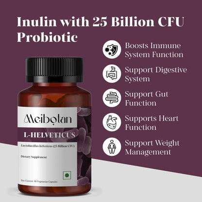 MEIBOTAN L-Helveticus Probiotic Bacteria with 25 Billion CFU for Women & Men, Helps Digestion, Nutrient Absorption and Fight Bad Bacterias - 60 Veggie Capsules - dailyvitalstore