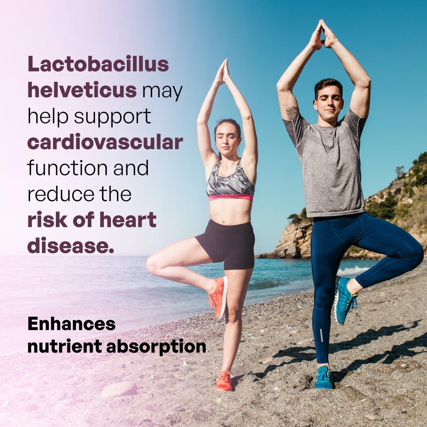 MEIBOTAN L-Helveticus Probiotic Bacteria with 25 Billion CFU for Women & Men, Helps Digestion, Nutrient Absorption and Fight Bad Bacterias - 60 Veggie Capsules - dailyvitalstore
