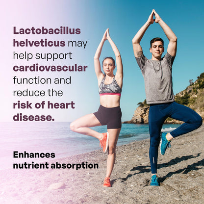 MEIBOTAN L-Helveticus Probiotic Bacteria with 25 Billion CFU for Women & Men, Helps Digestion, Nutrient Absorption and Fight Bad Bacterias - 60 Veggie Capsules - dailyvitalstore