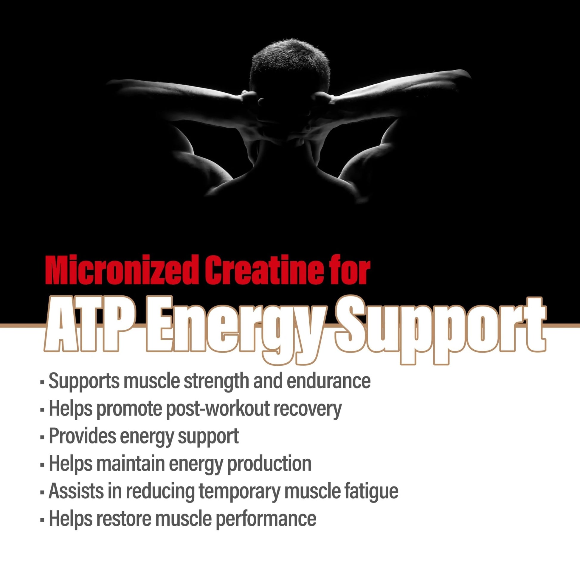 METALIFE 100% Pure Creatine Monohydrate Powder 200 Servings, Micronized Powder, Muscle Growth, Unflavored, Ideal for Athletes & Fitness Enthusiasts, - dailyvitalstore