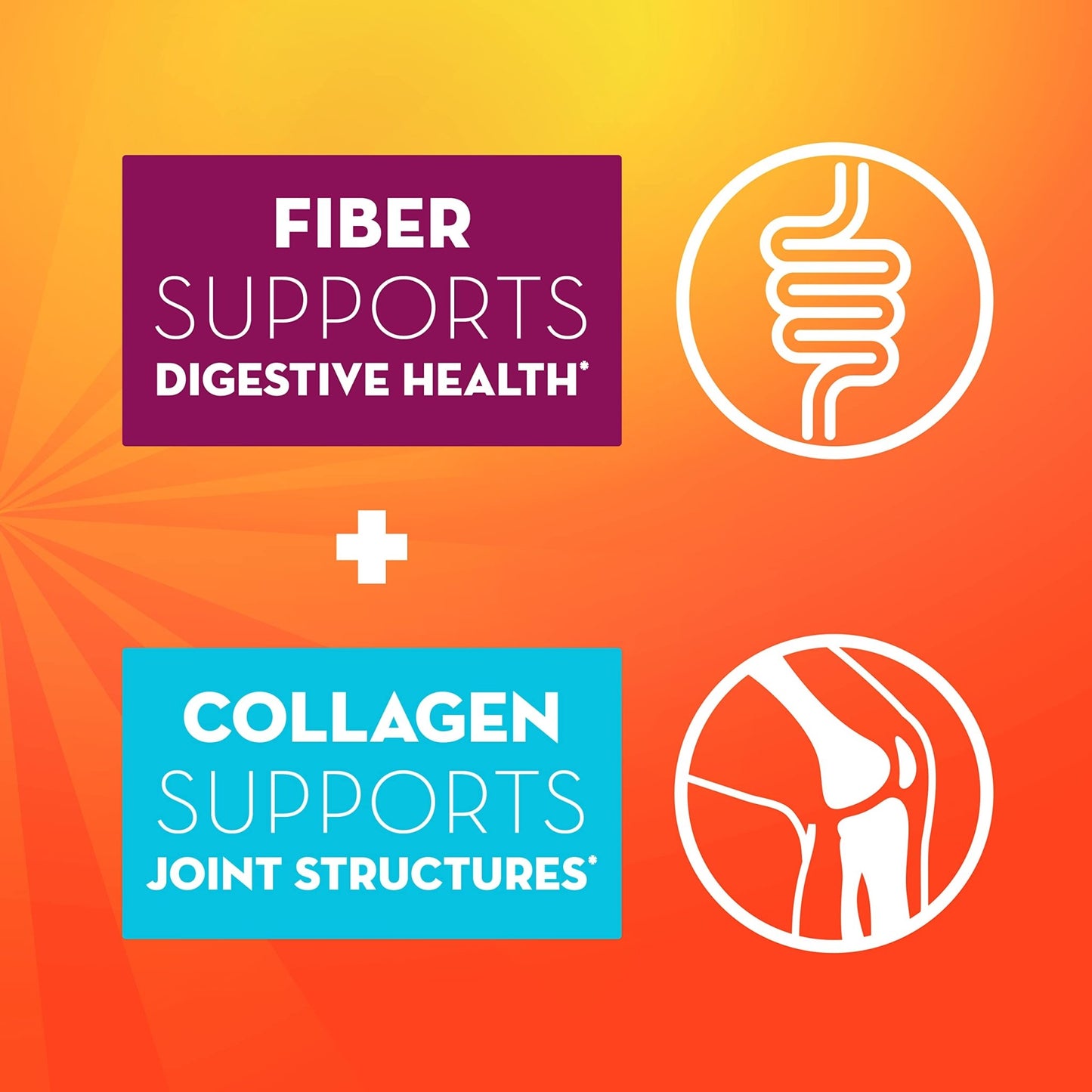Metamucil Daily Fiber + Collagen, Psyllium Husk Powder, Plant Based Fiber Supplement, Sugar-Free with Stevia, 3-in-1 Fiber Supplement - dailyvitalstore