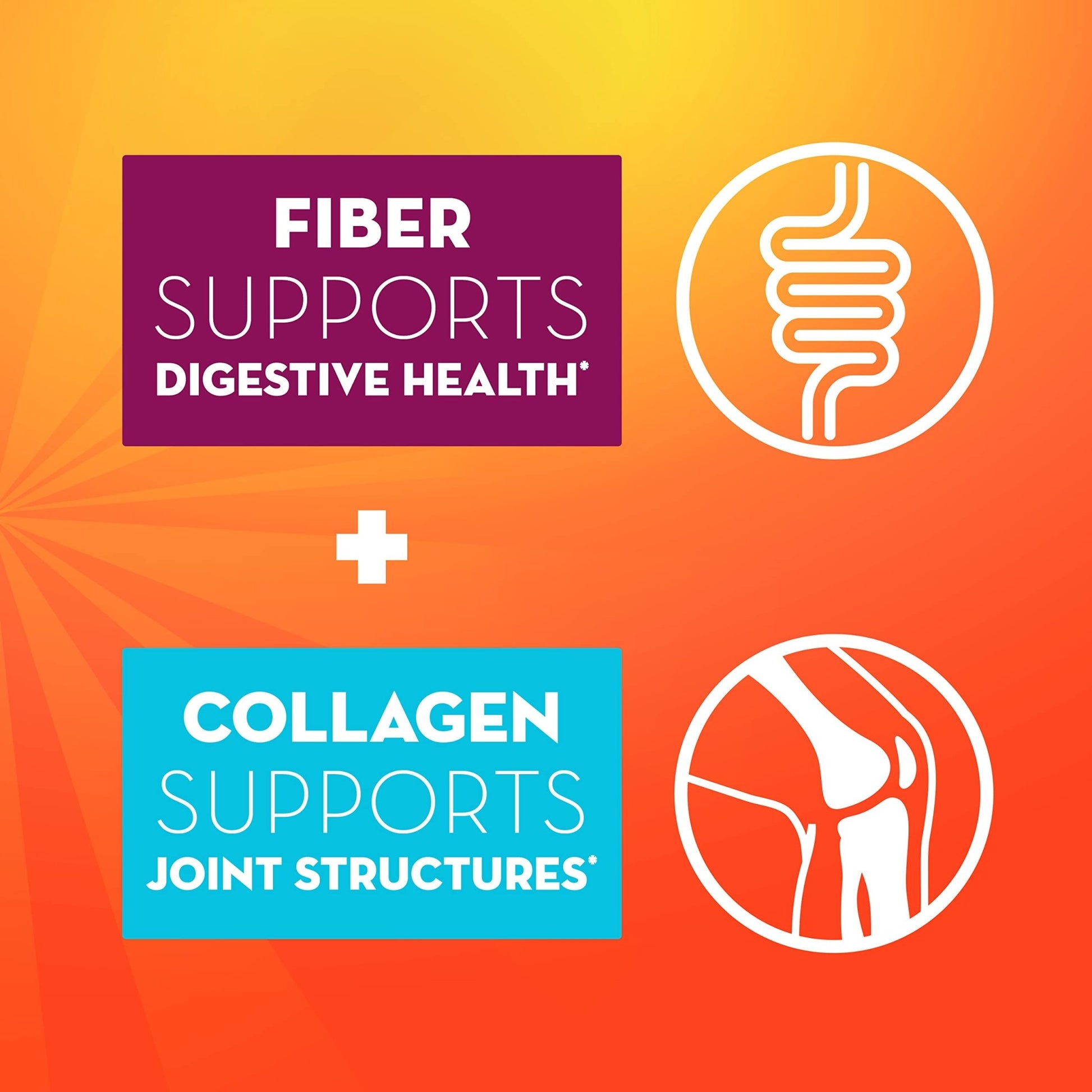 Metamucil Daily Fiber + Collagen, Psyllium Husk Powder, Plant Based Fiber Supplement, Sugar-Free with Stevia, 3-in-1 Fiber Supplement - dailyvitalstore