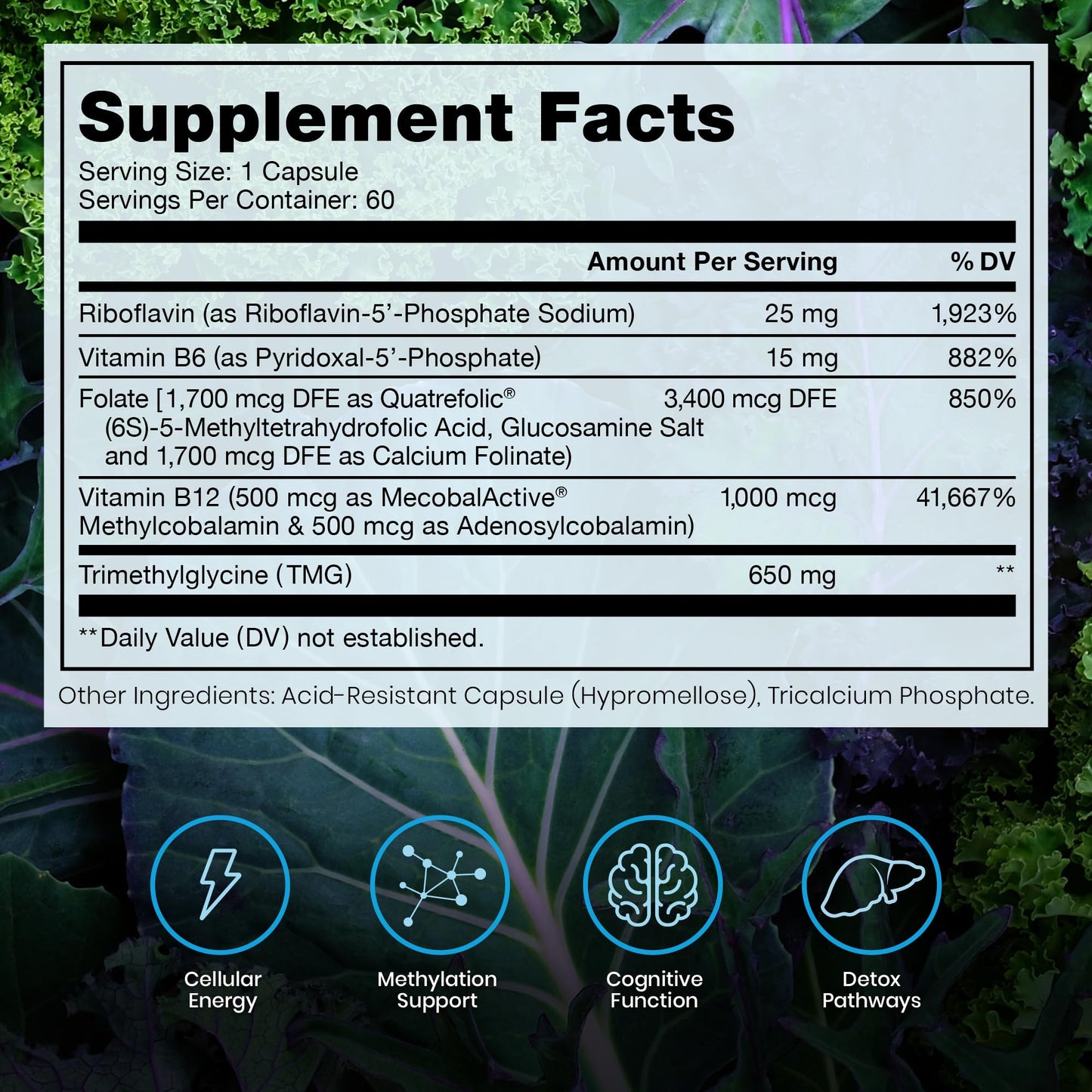 Methylated B Complex Vitamins, Made in USA, 2 Month Supply, Methyl B Complete Quatrefolic 5-MTHF Folate, B12 Methylcobalamin, TMG Trimethylglycine - dailyvitalstore