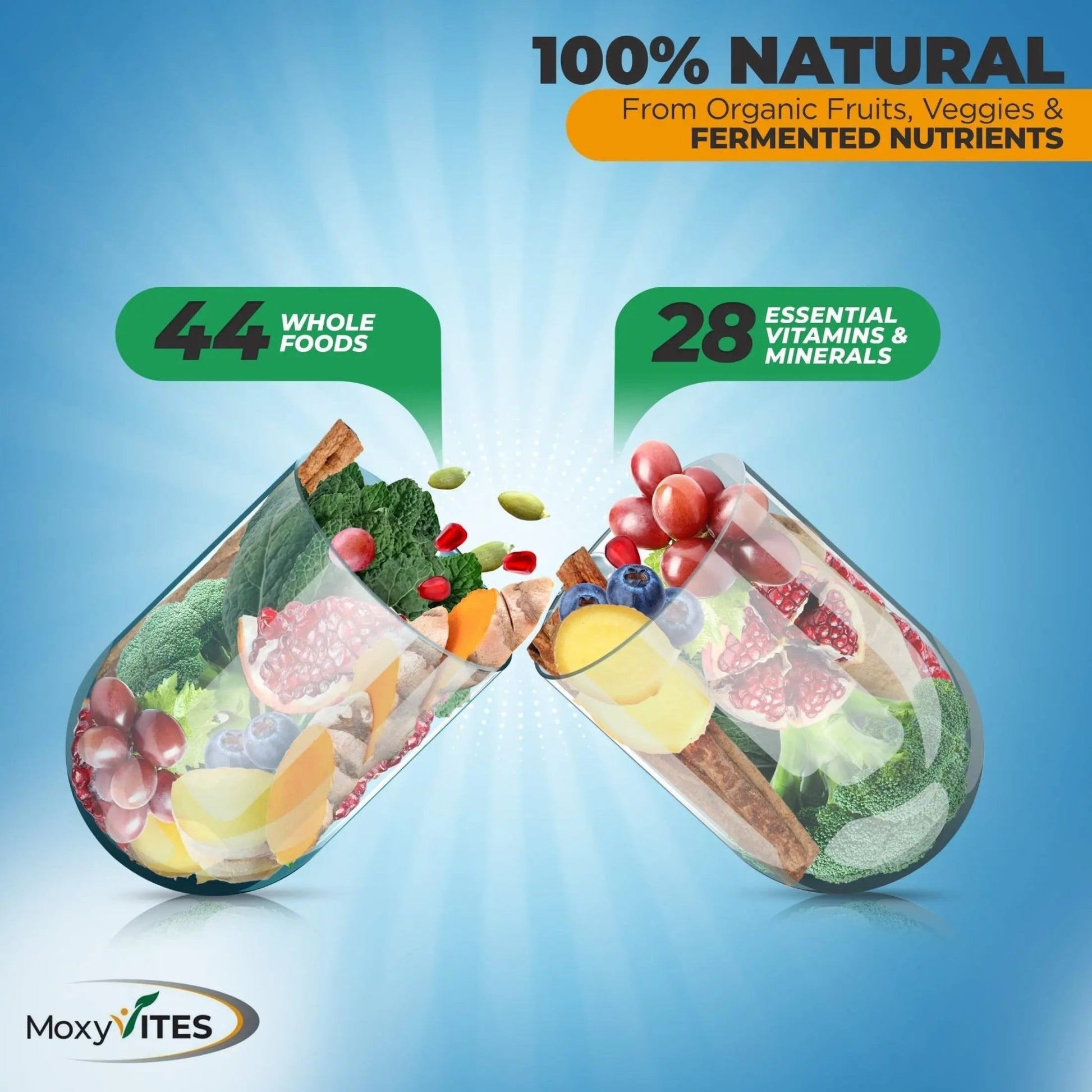 Methylated Mens Multivitamins - Daily Mens Vitamins with 44 Organic Whole Food - Multivitamin for Men with Iron & Fermented Nutrients - dailyvitalstore