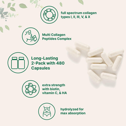 Micro Ingredients 2 Pack Multi Collagen Pills for Women & Men, 480 Capsules | Type I, II, III, V, X | Hydrolyzed Protein Peptides with Biotin, - dailyvitalstore