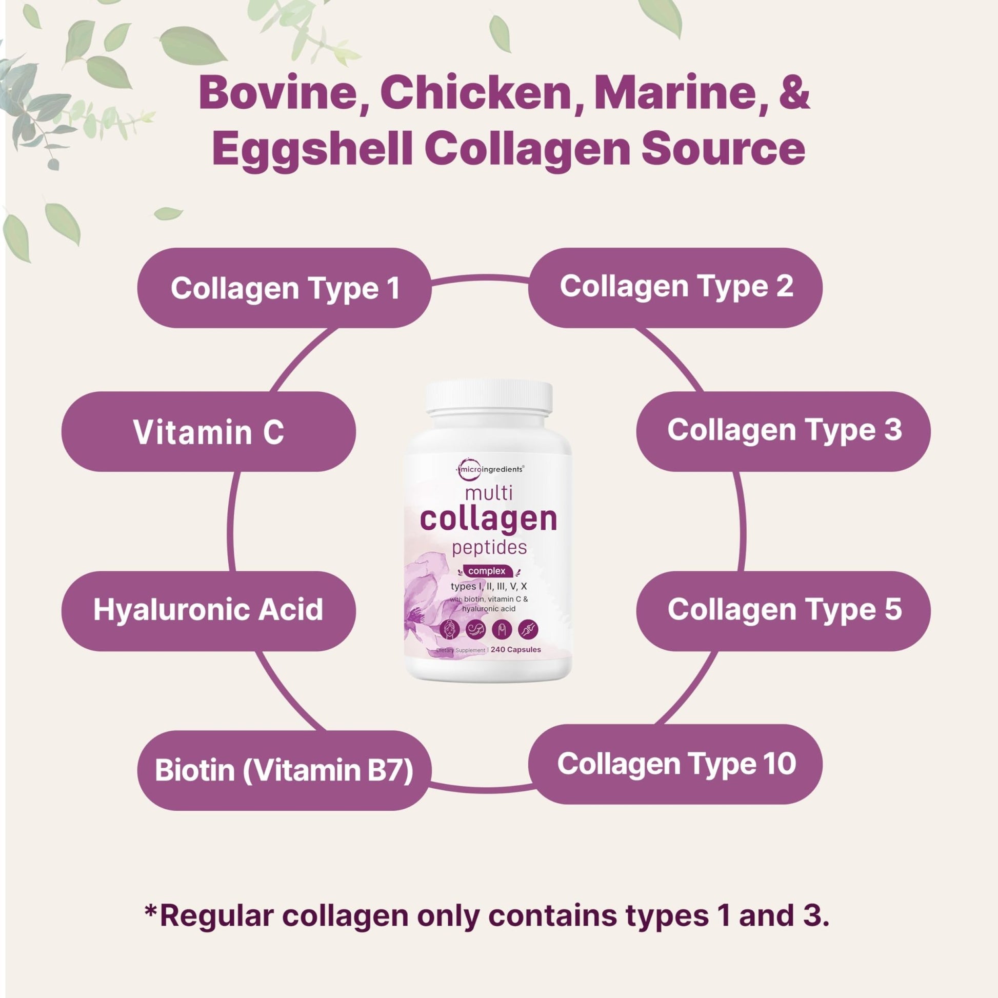 Micro Ingredients 2 Pack Multi Collagen Pills for Women & Men, 480 Capsules | Type I, II, III, V, X | Hydrolyzed Protein Peptides with Biotin, - dailyvitalstore