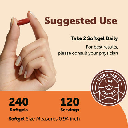 Micro Ingredients CoQ10 400 mg Per Serving, 240 Softgels | Made with Coconut MCT Oil | Coenzyme Q10 (Ubiquinone) | Non-GMO - dailyvitalstore