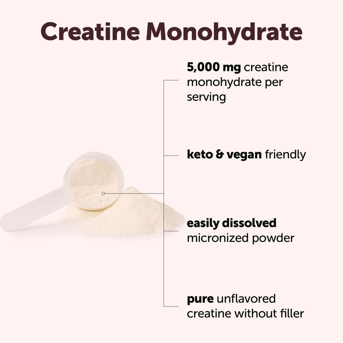 Micro Ingredients Creatine Monohydrate Powder 1 kg (2.2 Lbs), 5000mg Per Serv, Micronized Creatine Powder, Unflavored, No Filler, Keto & Vegan, Easy Dissolve, Pre Workout for Women & Men* - dailyvitalstore