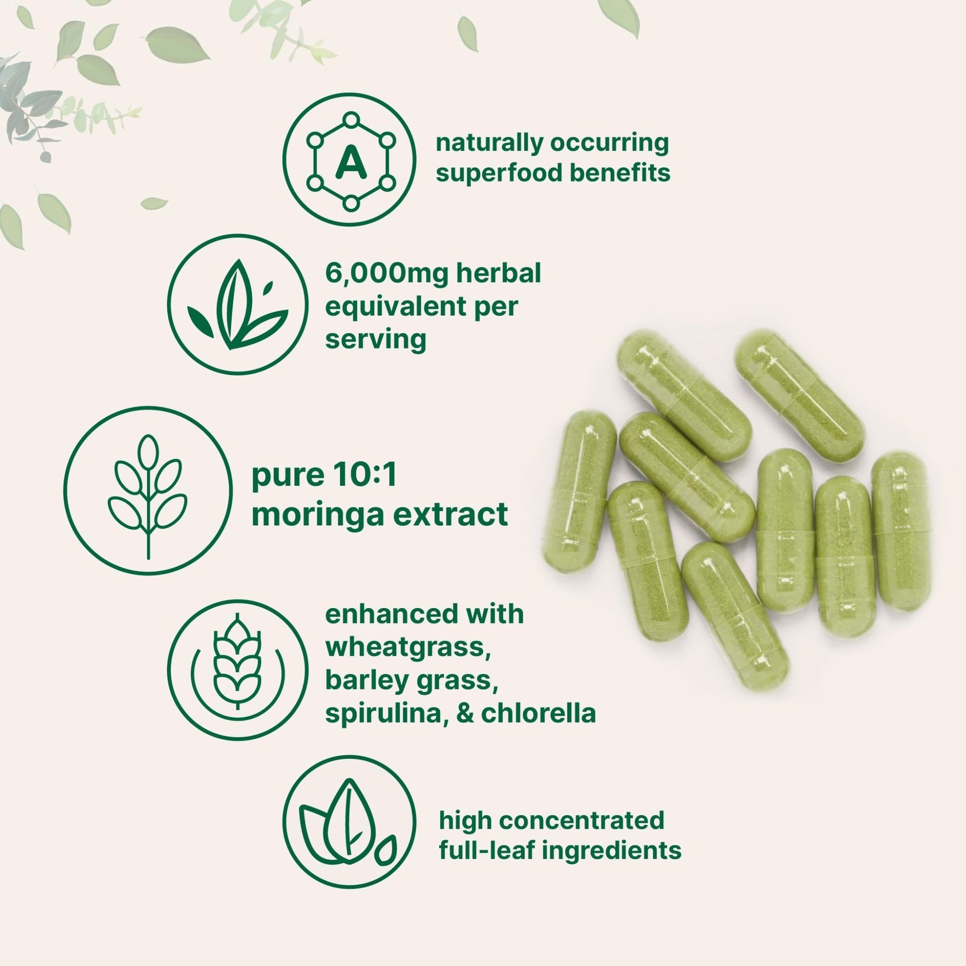 Micro Ingredients Moringa Oleifera | 300 Capsules with Supergreens Blend of Wheatgrass, Barley Grass, Spirulina, & Chlorella | Antioxidant Supplement, Energy, & Immune Support | Non-GMO - dailyvitalstore
