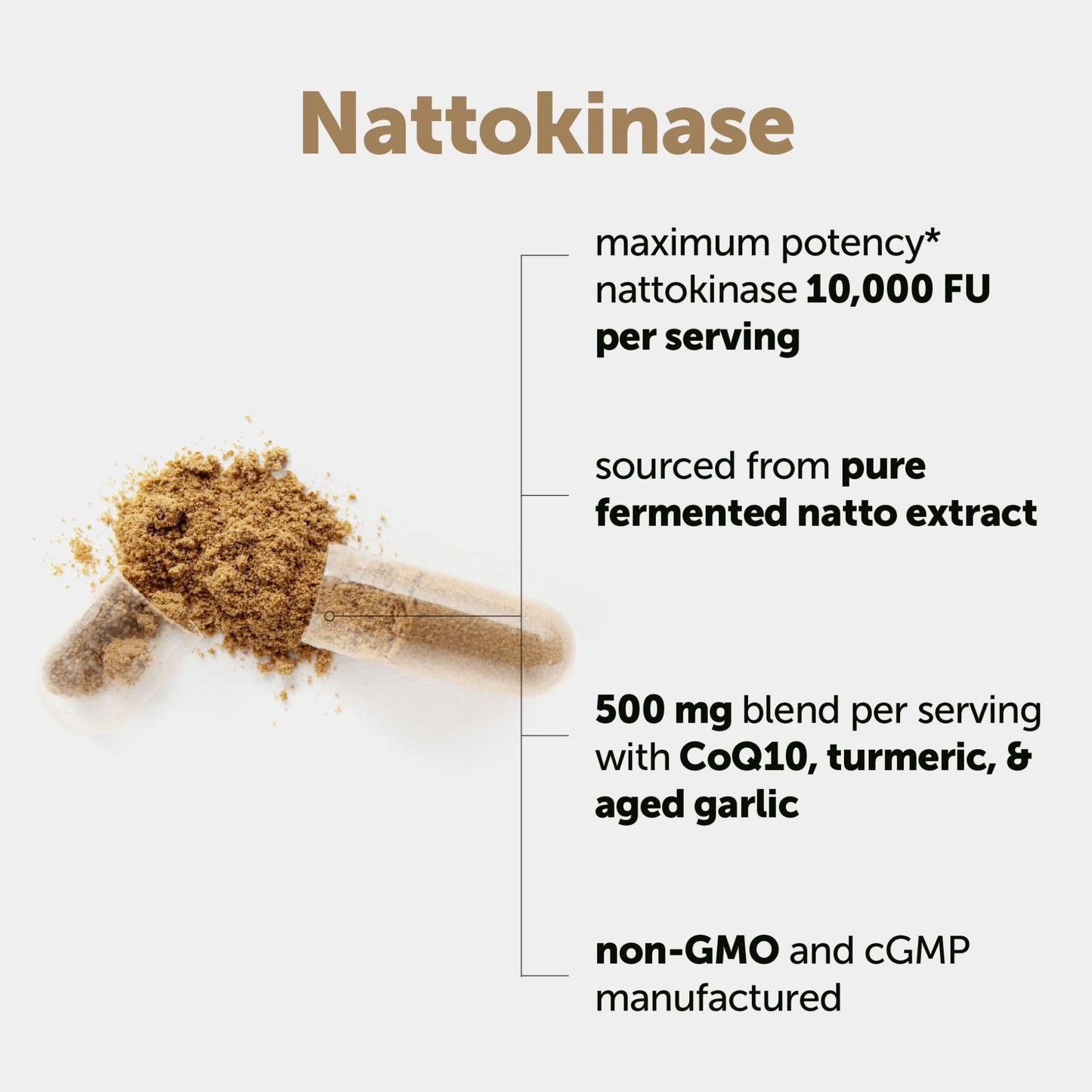 Micro Ingredients Nattokinase 10,000 FU Per Serving (Natural Natto Extract), 240 Vegetarian Capsules | with CoQ10, Turmeric, Aged Garlic & Pine Bark Extract - dailyvitalstore