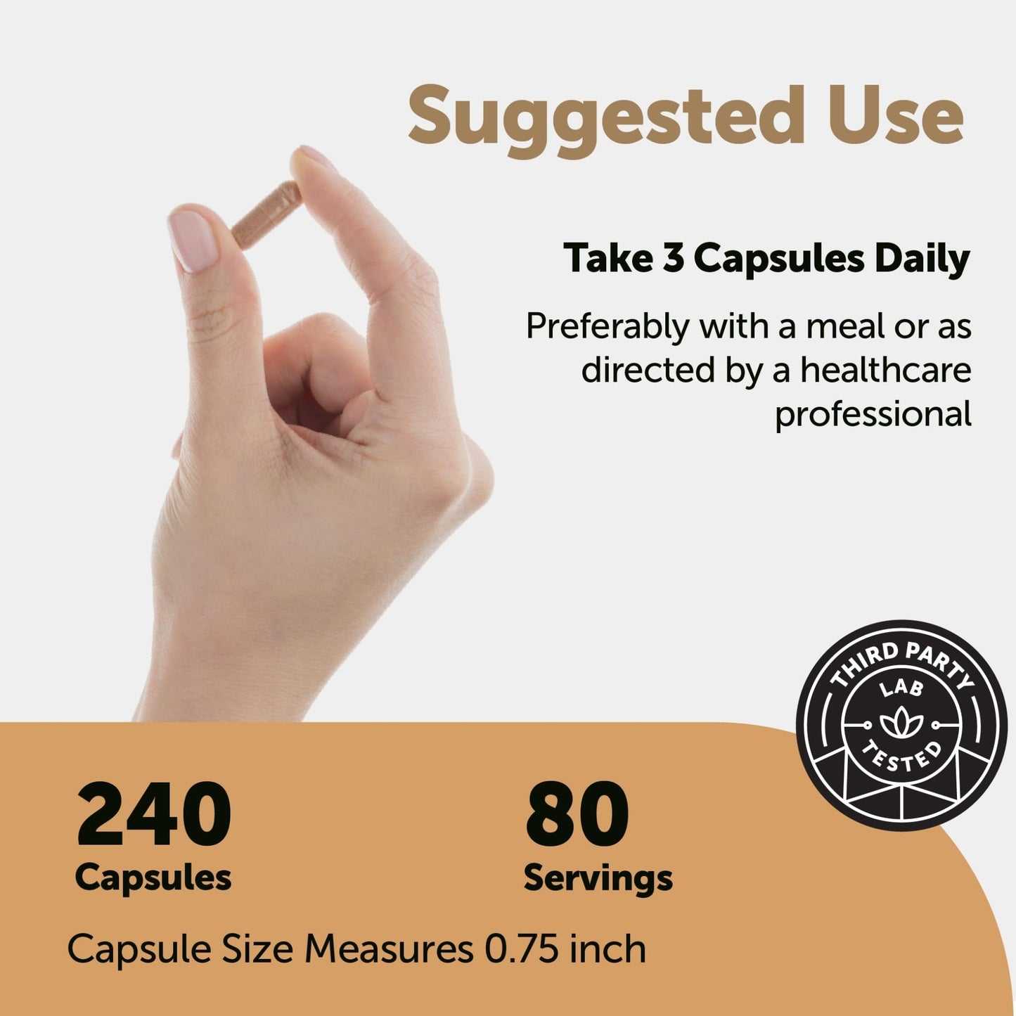 Micro Ingredients Nattokinase 10,000 FU Per Serving (Natural Natto Extract), 240 Vegetarian Capsules | with CoQ10, Turmeric, Aged Garlic & Pine Bark Extract - dailyvitalstore