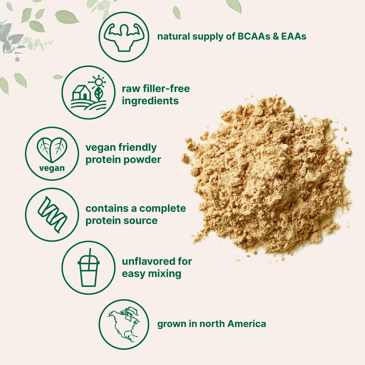 Micro Ingredients North American Grown, Pea Protein Powder, 5 Pounds | Plant Based, Unflavored | Complete Vegan Protein Source with BCAAs & EAAs – 27g Serving | Non-GMO, Keto Friendly - dailyvitalstore