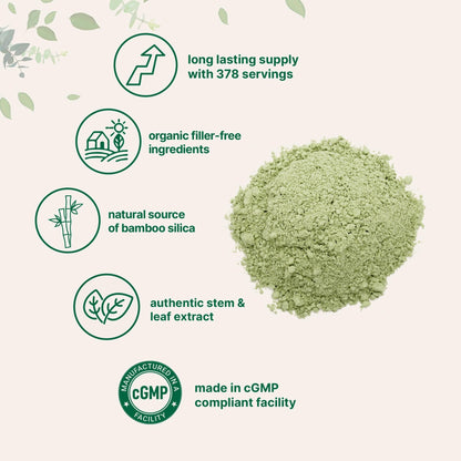 Micro Ingredients Organic Bamboo Extract Powder, 8oz (378 Servings) | Bamboo Plant Silica & Mineral Supplements | Natural Stem & Leaf Extract | Non-GMO, Gluten Free, Vegan Friendly - dailyvitalstore