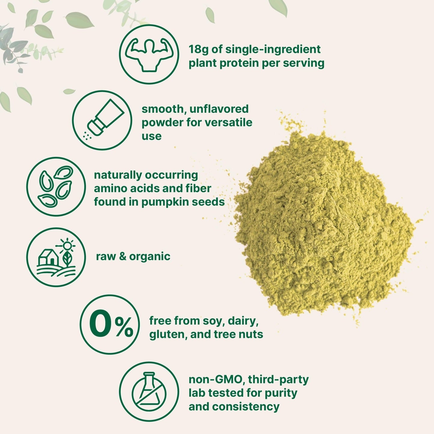 Micro Ingredients Organic Pumpkin Seed Protein Powder, 2lb | Raw Plant-Based Protein | Single-Ingredient Powder | Smooth Texture & Versatile Use | Non-GMO, Soy Free - dailyvitalstore