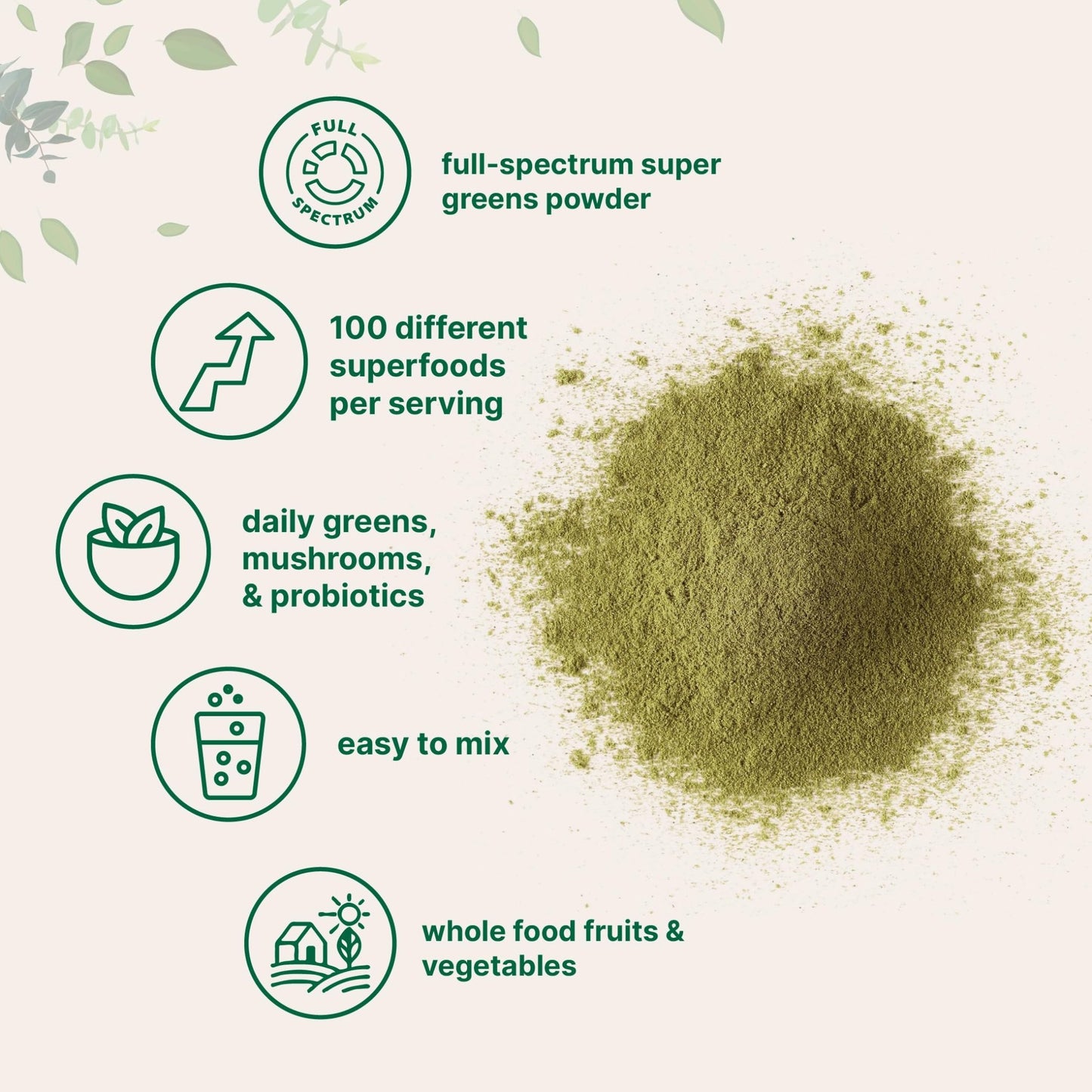 Micro Ingredients Super Greens Powder, 1lb | 100 Superfood Blend with Daily Greens, Probiotics, Fruits, Vegetables & Mushrooms | Source of Vegan Protein & Enzymes - dailyvitalstore