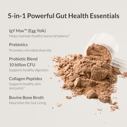 Microbiome Breakthrough Gut Support Powder Chocolate Flavor With Lactobacillus Strains, Bone Broth & Collagen Source of L-Glutamine Supports Digestive Comfort, Gas & Bloating Relief 30 Servings* - dailyvitalstore
