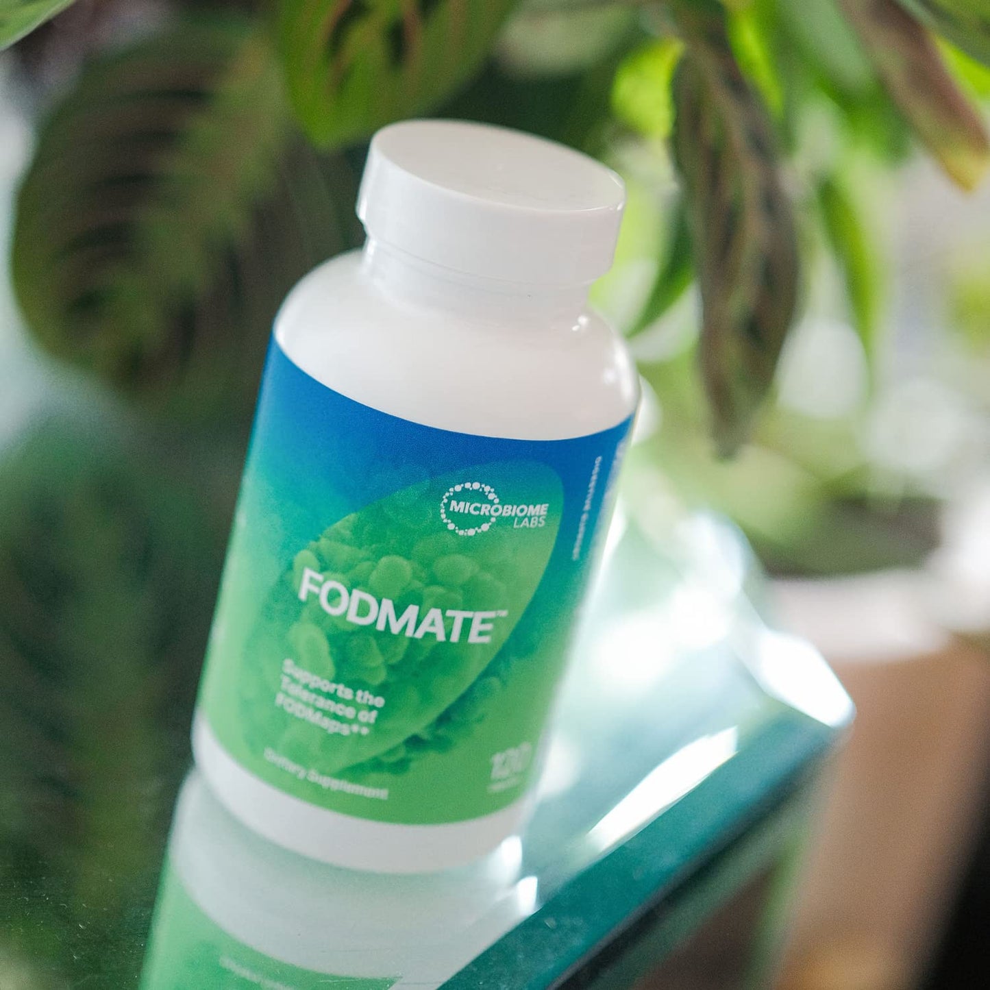 Microbiome Labs FODMATE Digestive Enzymes for Women & Men - Digestive Support for Low FODMAP Protocols & Occasional Bloating, Gas & Stomach Relief (120 Capsules) - dailyvitalstore
