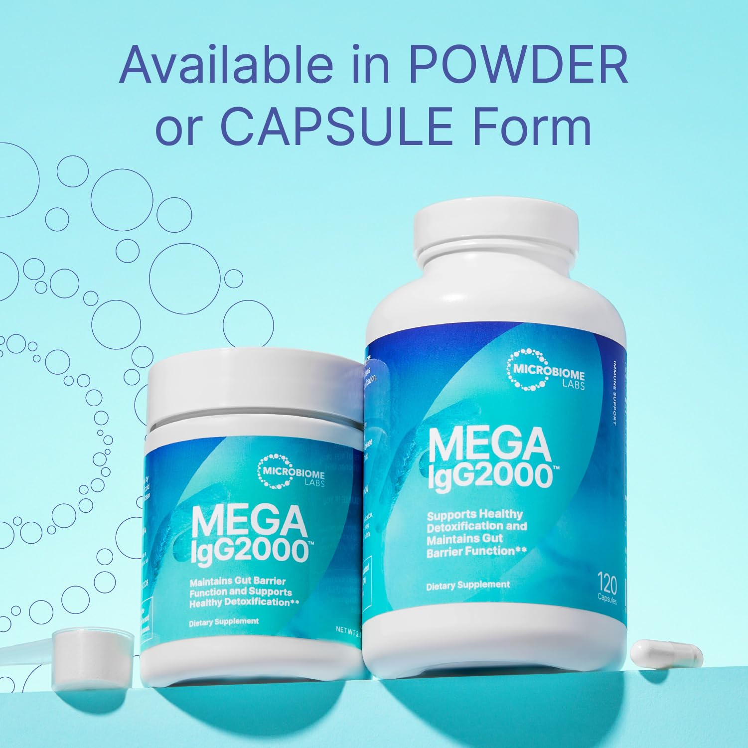 Microbiome Labs Mega IgG2000 Gut Health Powder for Women, Men & Kids 2+ - IgG Immunoglobulin Supplement for Digestive Health Support - Dairy-Free Bovine Colostrum - dailyvitalstore
