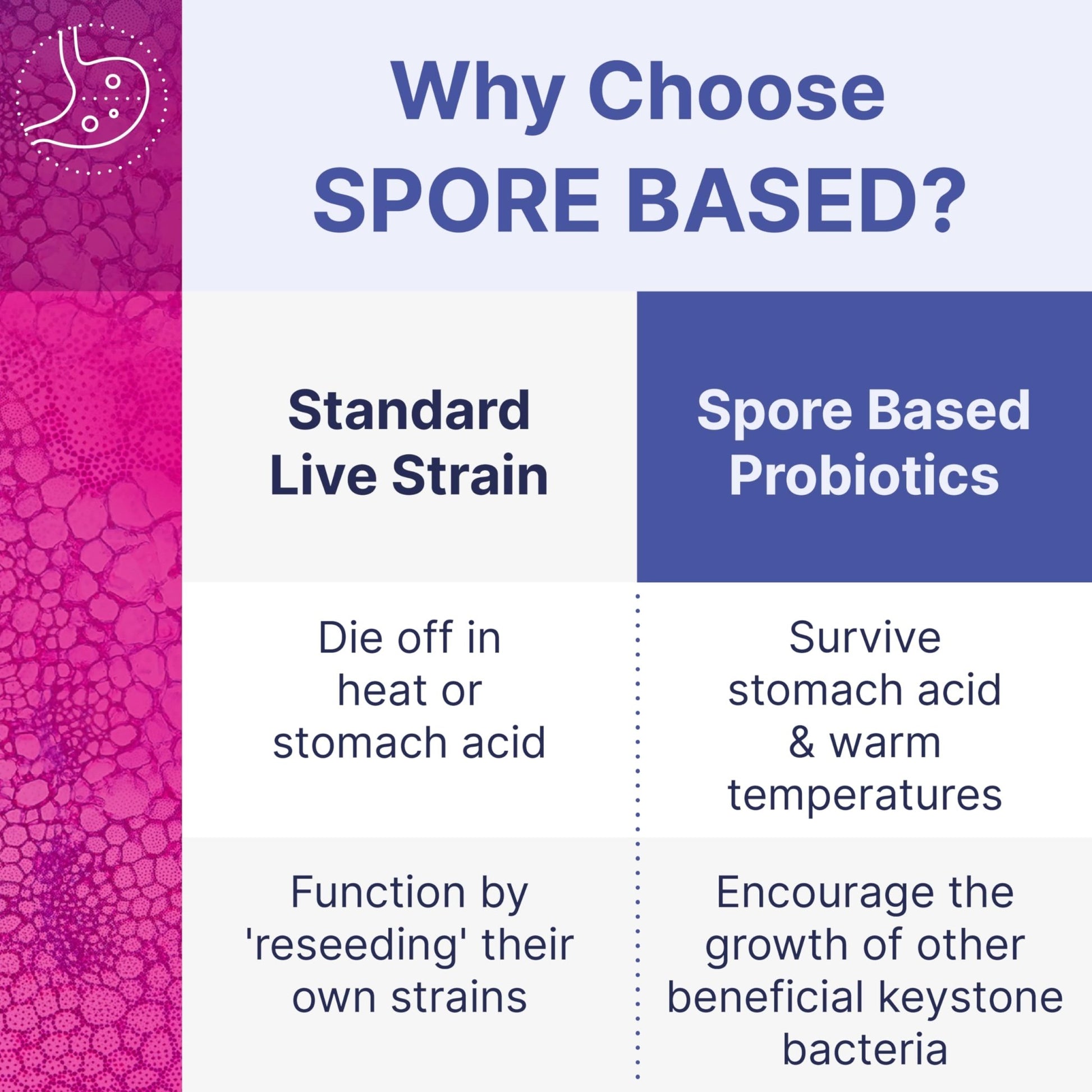 Microbiome Labs MegaSporeBiotic Probiotics for Women & Men - Spore-Based Probiotic for Gut Health & Digestive Support - Shelf-Stable, Travel-Friendly, - dailyvitalstore