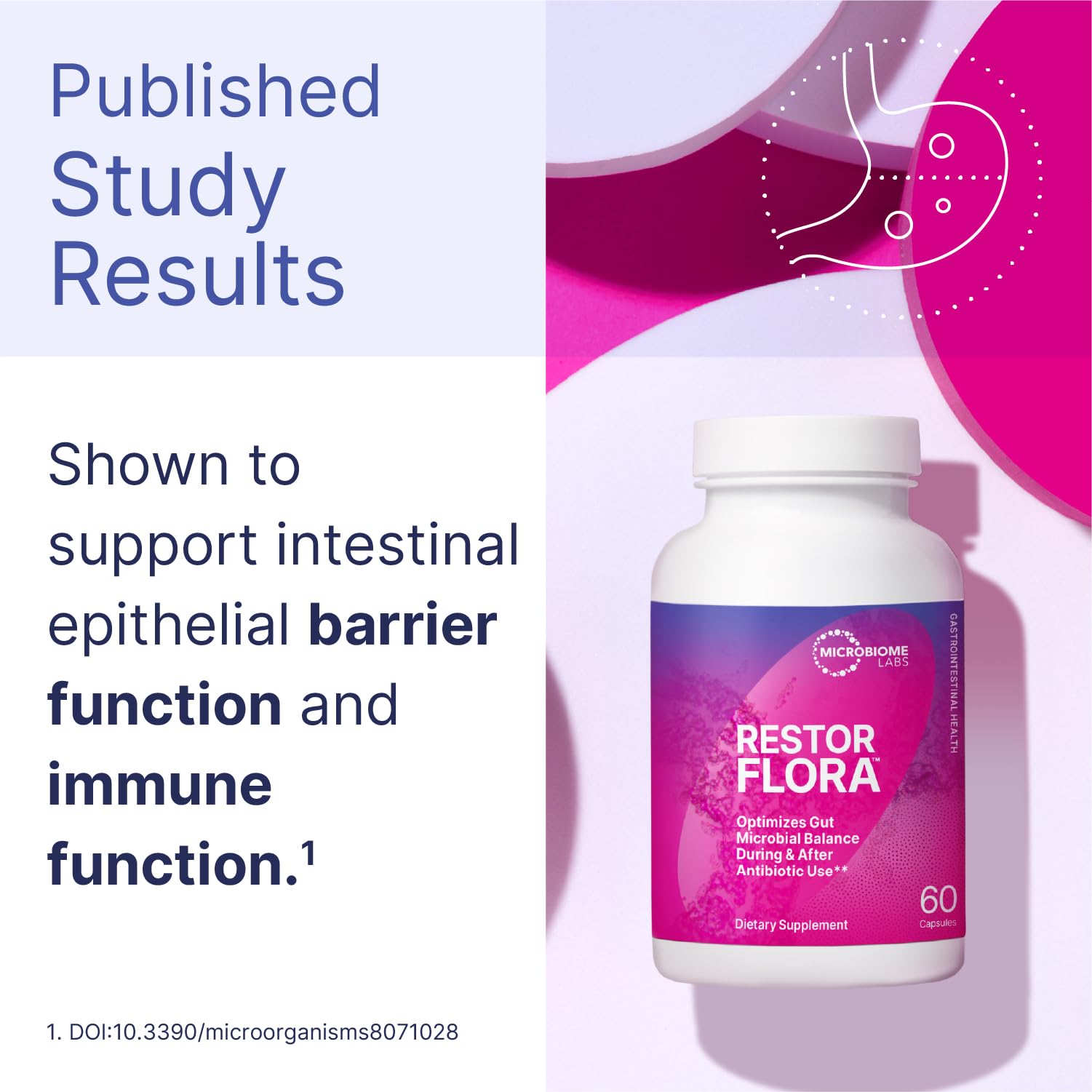 Microbiome Labs Restorflora Probiotics for Digestive Health - Gut Health Supplements with Dual Action Probiotics for Women & Men - dailyvitalstore