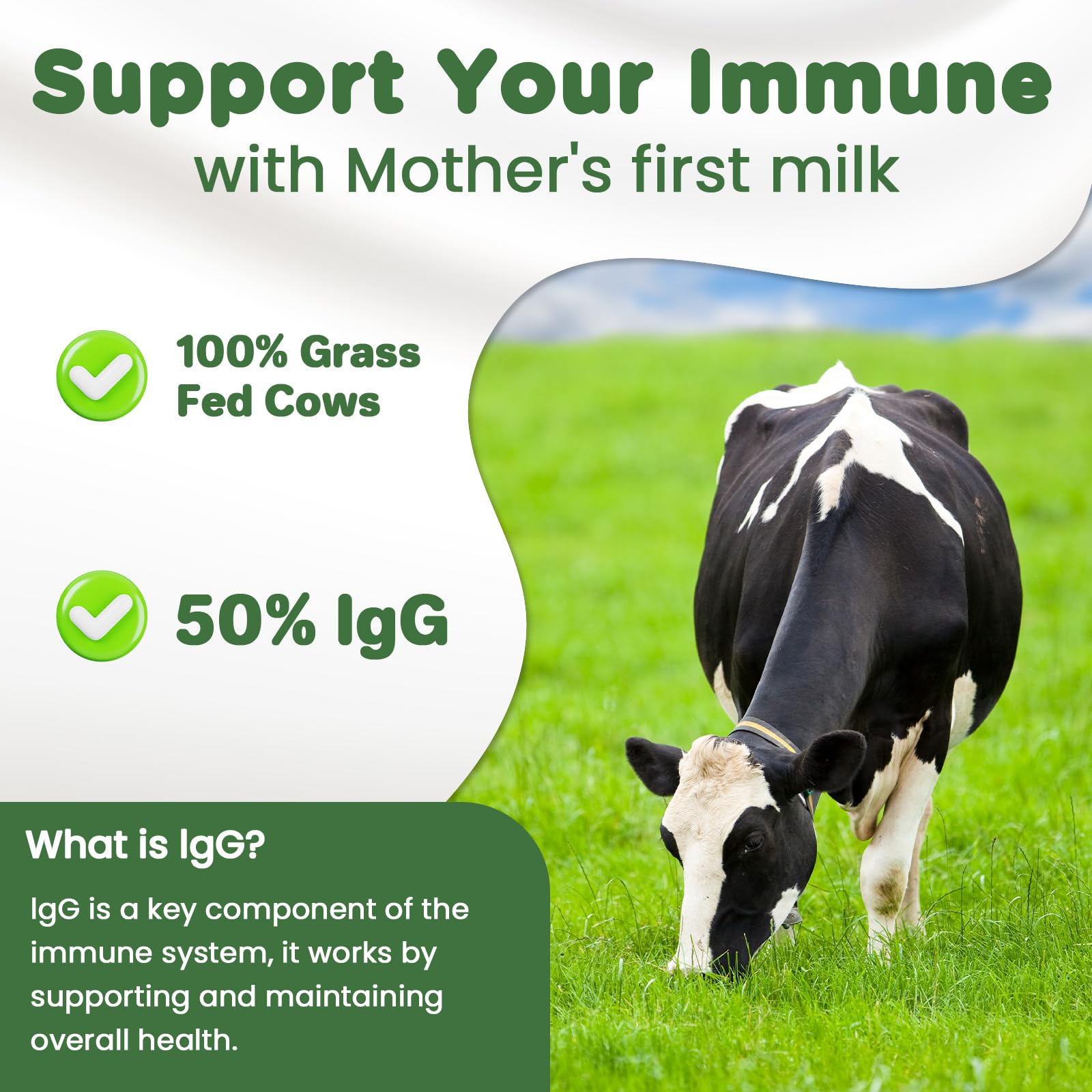 MICYDELAS Bovine Colostrum Supplement Powder 50% IgG Premium Bovine Colostrum for Gut Health Support, Immune Support, Muscle Recovery & Overall Wellness, Grass Fed, Non-GMO, Unflavored, 60 Servings - dailyvitalstore