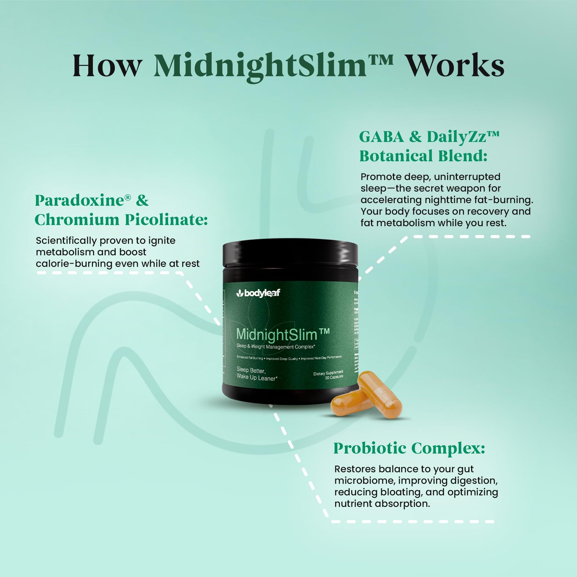 MidnightSlim™ | Advanced Nighttime Weight | Maximum Strength Metabolism Support, Digestive Health, Peaceful Sleep | Premium Probiotic Complex | 30 Capsules - dailyvitalstore