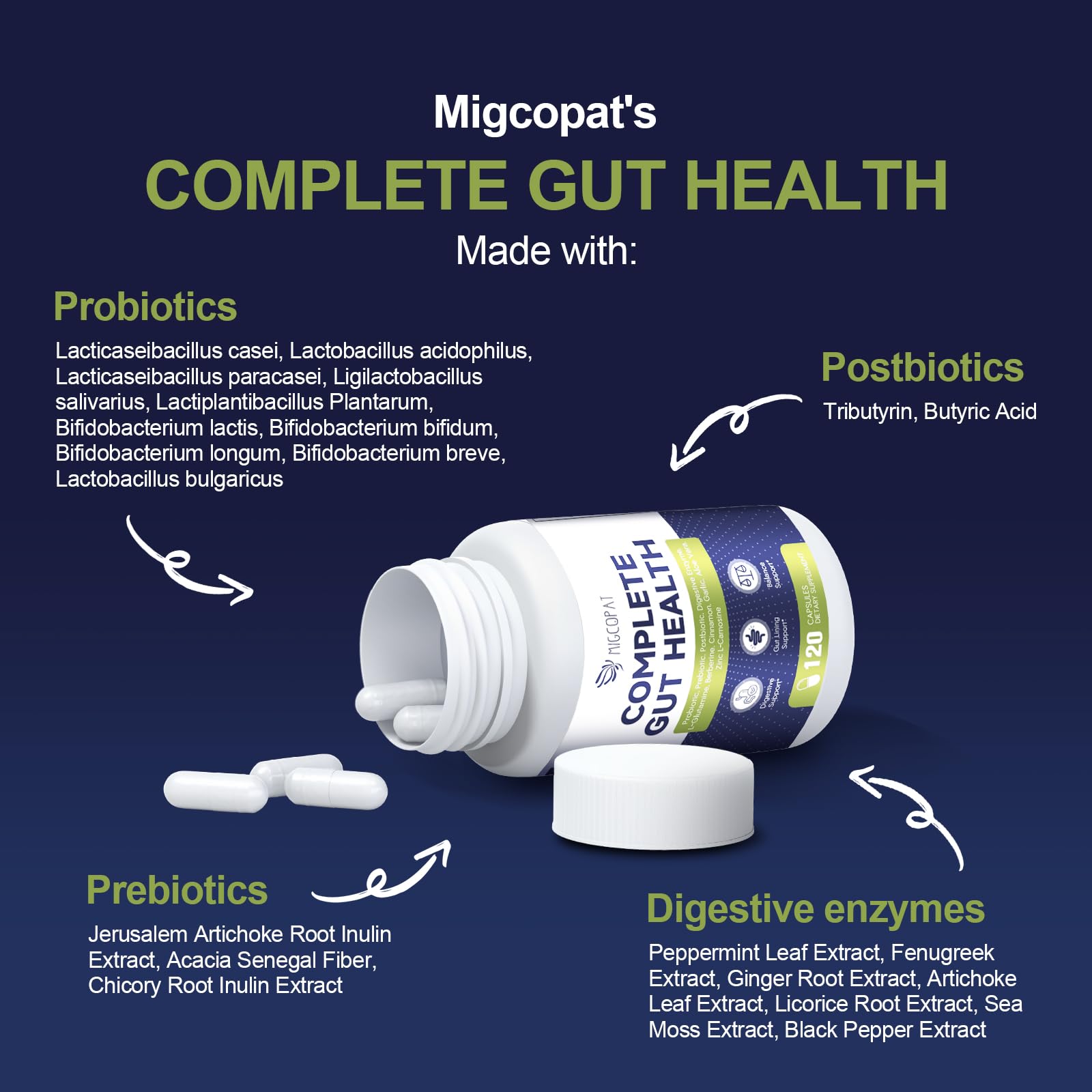 Migcopat Probiotic Prebiotic, Postbiotic & Digestive Enzymes for Digestive Health, 80 Billion CFU Probiotics Complete Gut Support with Berberine, Cinnamon, L-Glutamine - dailyvitalstore