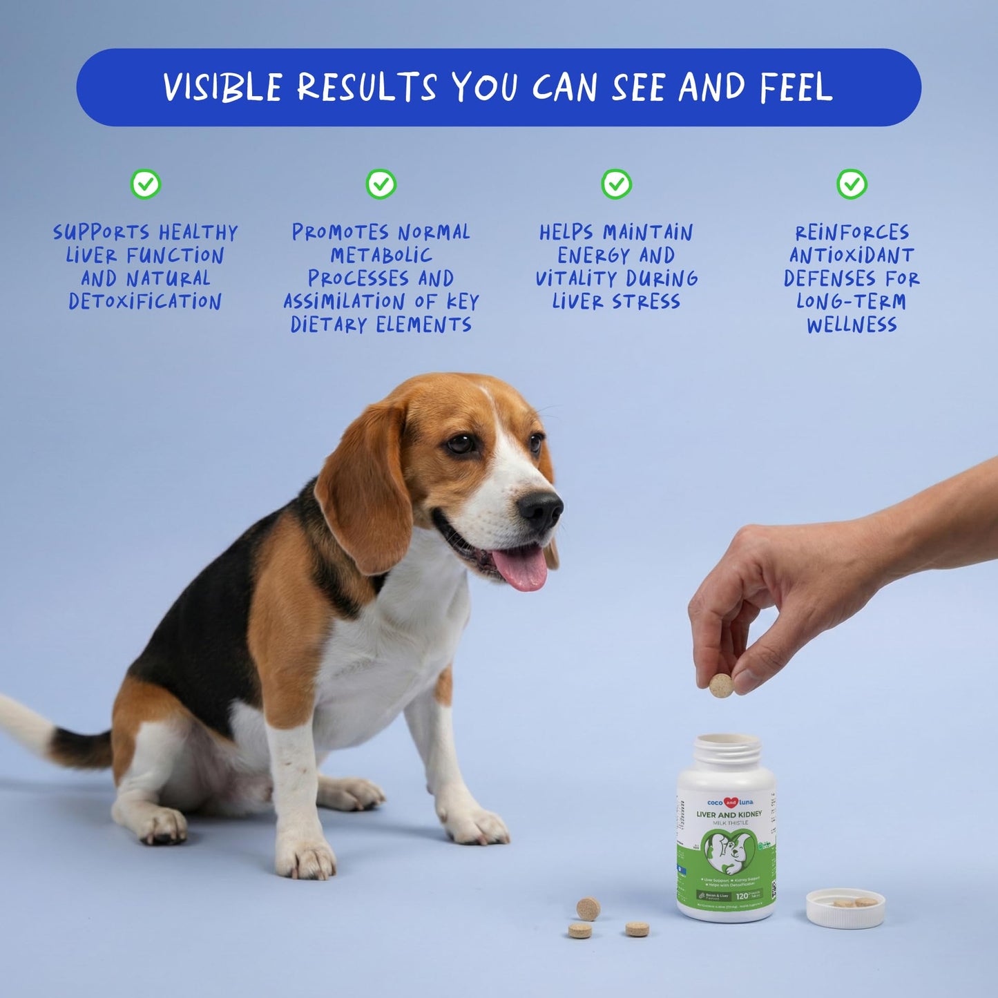 Milk Thistle for Dogs - 120 Chewable Tablets - Silymarin - Liver and Kidney Support with EPA & DHA - Detox - Liver Supplement for Dogs - dailyvitalstore