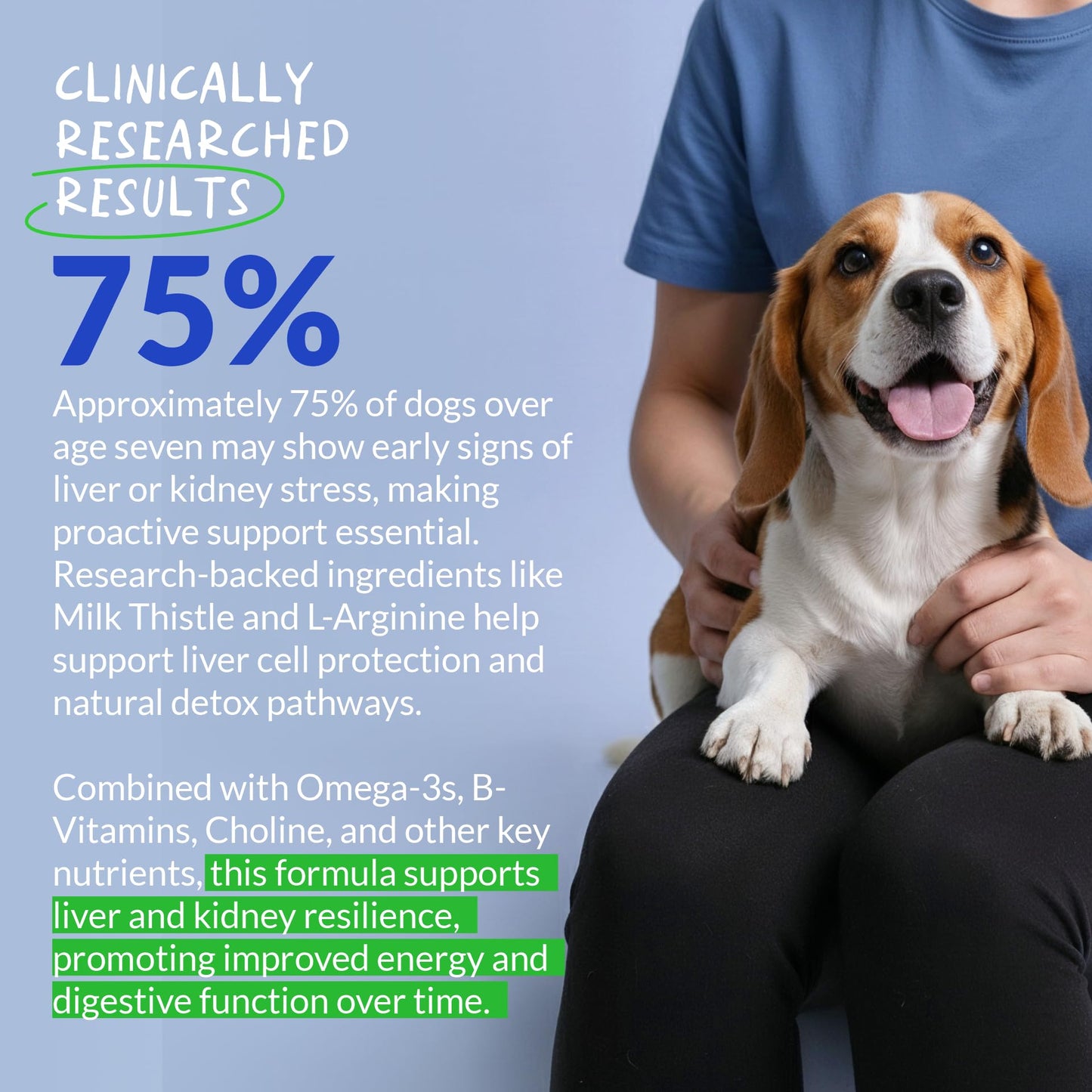 Milk Thistle for Dogs - 120 Chewable Tablets - Silymarin - Liver and Kidney Support with EPA & DHA - Detox - Liver Supplement for Dogs - dailyvitalstore