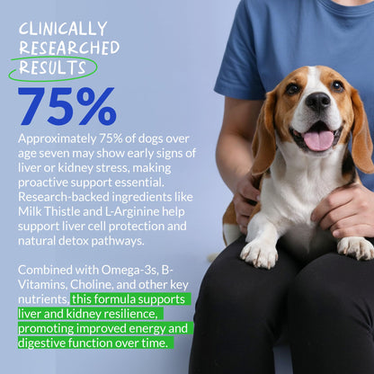 Milk Thistle for Dogs - 120 Chewable Tablets - Silymarin - Liver and Kidney Support with EPA & DHA - Detox - Liver Supplement for Dogs - dailyvitalstore