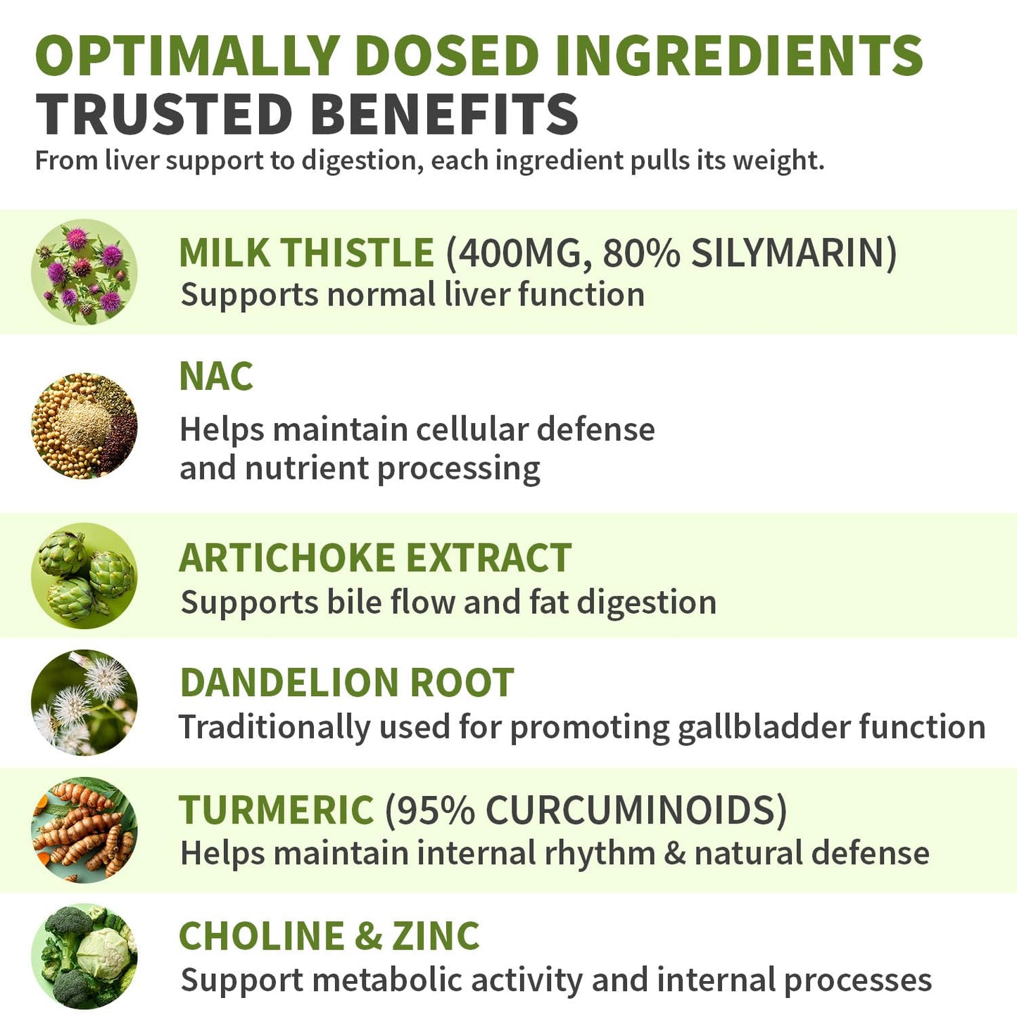Milk Thistle Supplement w/ NAC, Artichoke & Dandelion – Liver Support Supplement & Gallbladder Supplements in One – Liver Detox – Milk Thistle - dailyvitalstore