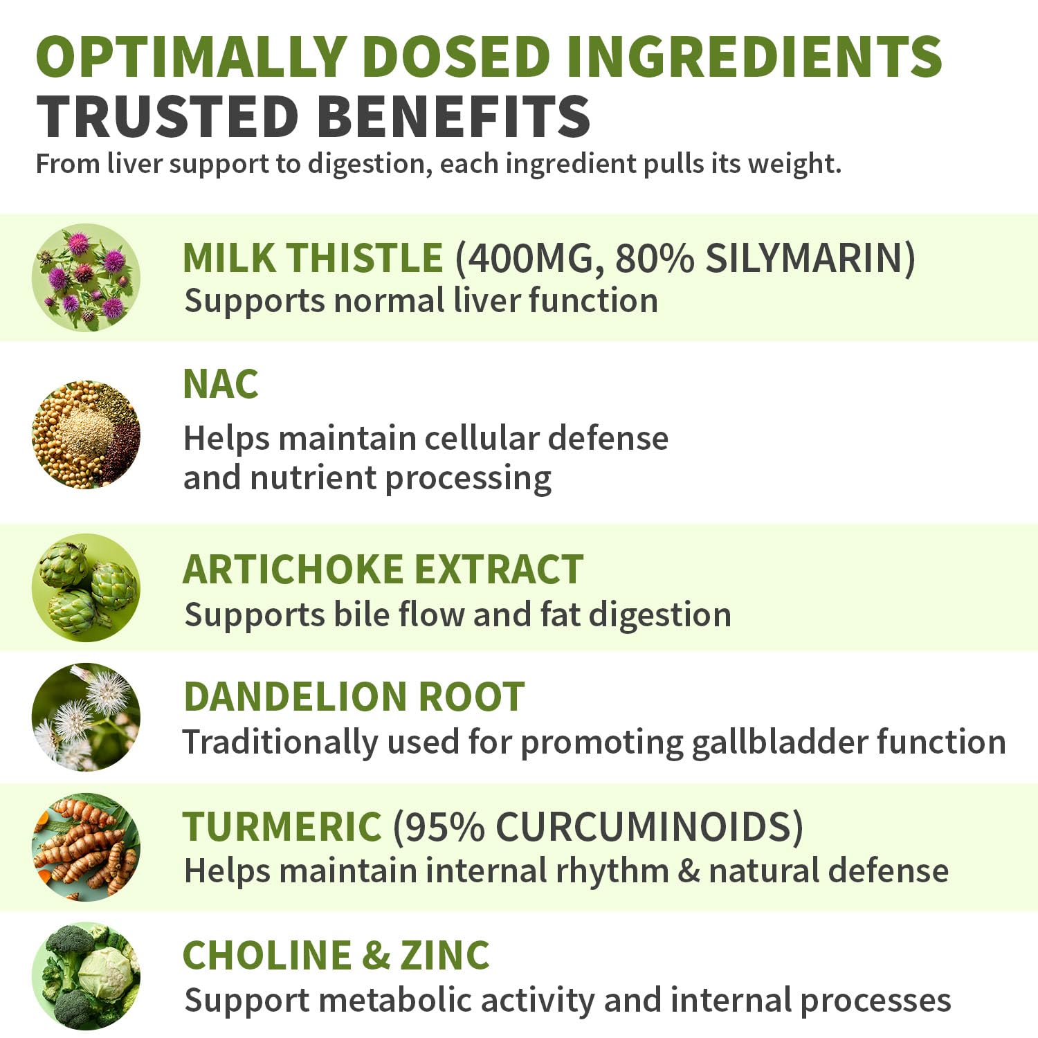Milk Thistle Supplement w/ NAC, Artichoke & Dandelion – Liver Support Supplement & Gallbladder Supplements in One – Liver Detox – Milk Thistle - dailyvitalstore
