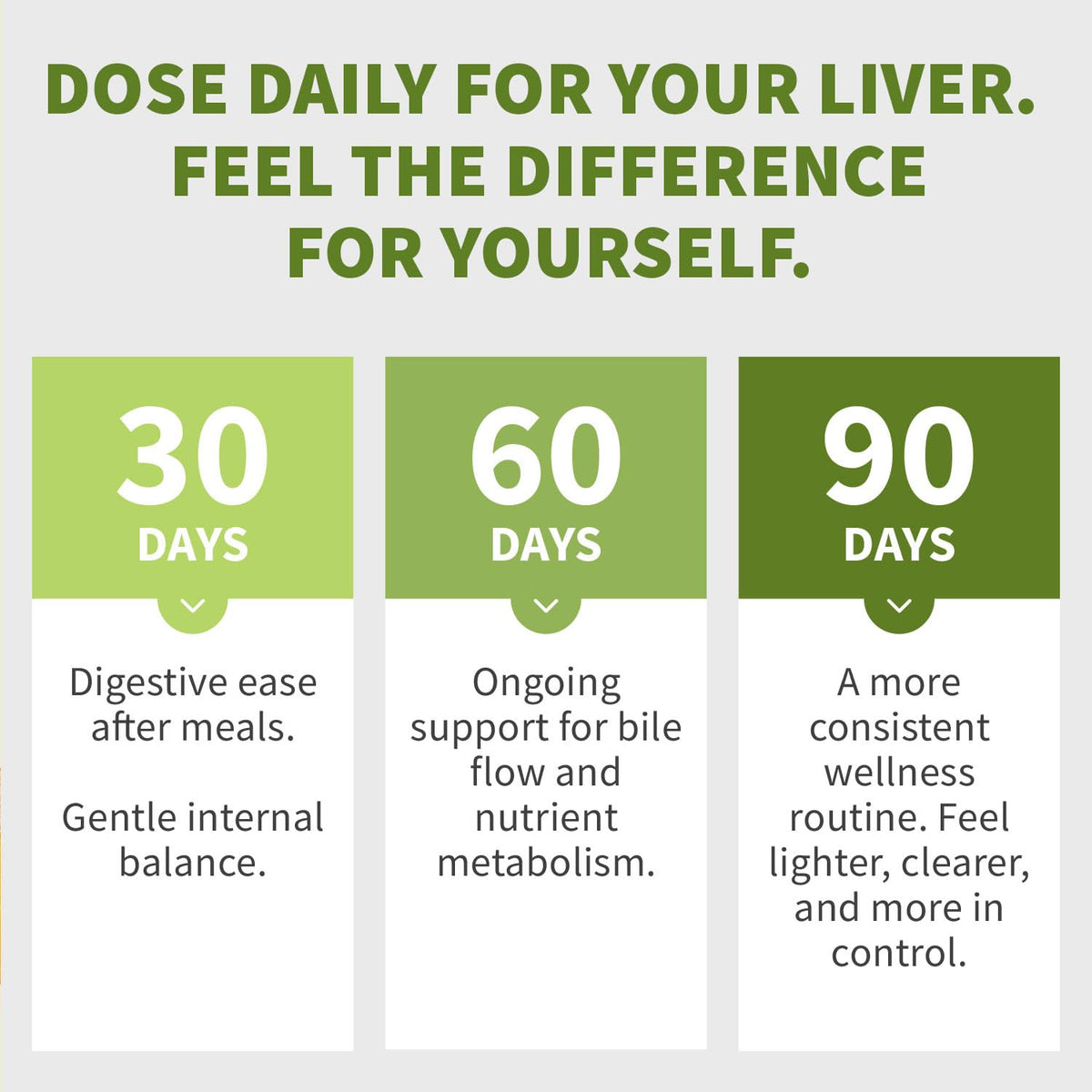 Milk Thistle Supplement w/ NAC, Artichoke & Dandelion – Liver Support Supplement & Gallbladder Supplements in One – Liver Detox – Milk Thistle - dailyvitalstore