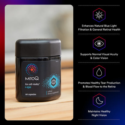 MitoQ +Eye – Eye Health Supplement with Lutein & Zeaxanthin (5:1 Ratio), Bilberry, Maritime Pine Bark, Zinc, Mitoquinol | Supports Macular Health, Visual Clarity & Blue Light Defense - dailyvitalstore
