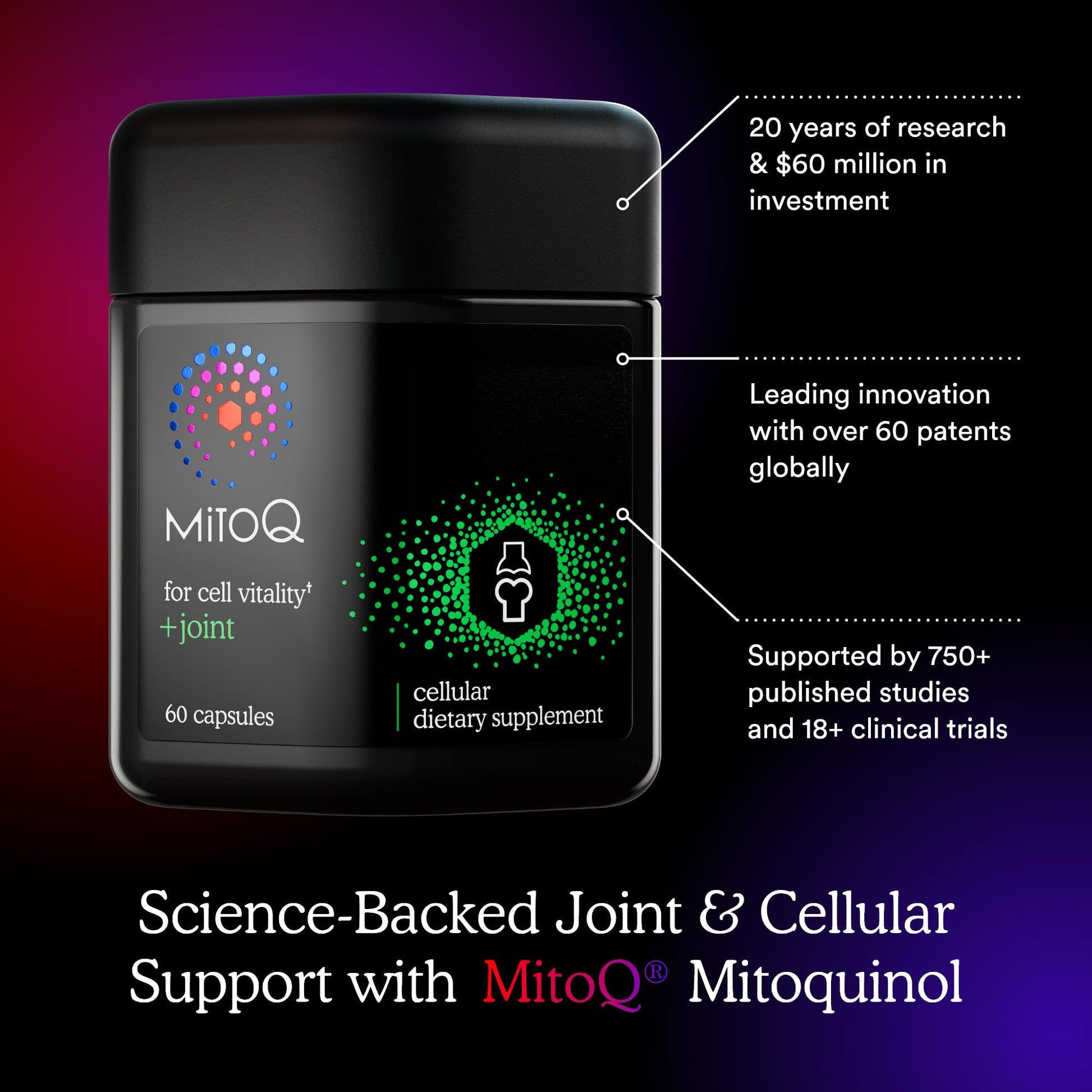 MitoQ +Joint Advanced CoQ10 Antioxidant Supplement - Contains Mitoquinol Mesylate & Green Lipped Mussel Omega Oil Extract - Supports Healthy Joint, Mobility and Cell Vitality (60 Softgel Capsules) - dailyvitalstore