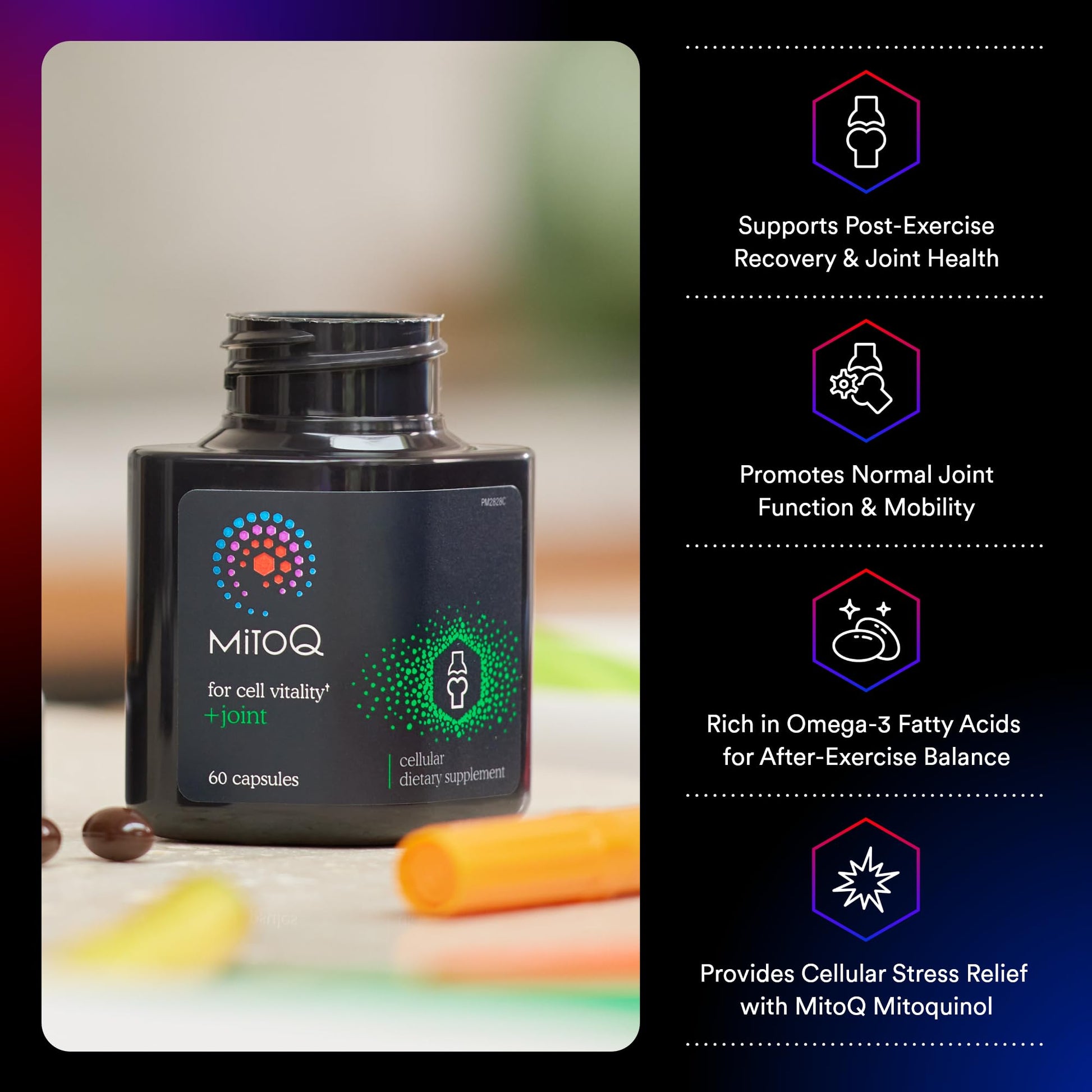 MitoQ +Joint Advanced CoQ10 Antioxidant Supplement - Contains Mitoquinol Mesylate & Green Lipped Mussel Omega Oil Extract - Supports Healthy Joint, Mobility and Cell Vitality (60 Softgel Capsules) - dailyvitalstore