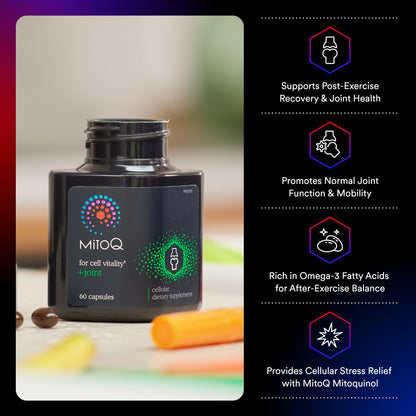 MitoQ +Joint Advanced CoQ10 Antioxidant Supplement - Contains Mitoquinol Mesylate & Green Lipped Mussel Omega Oil Extract - Supports Healthy Joint, Mobility and Cell Vitality (60 Softgel Capsules) - dailyvitalstore